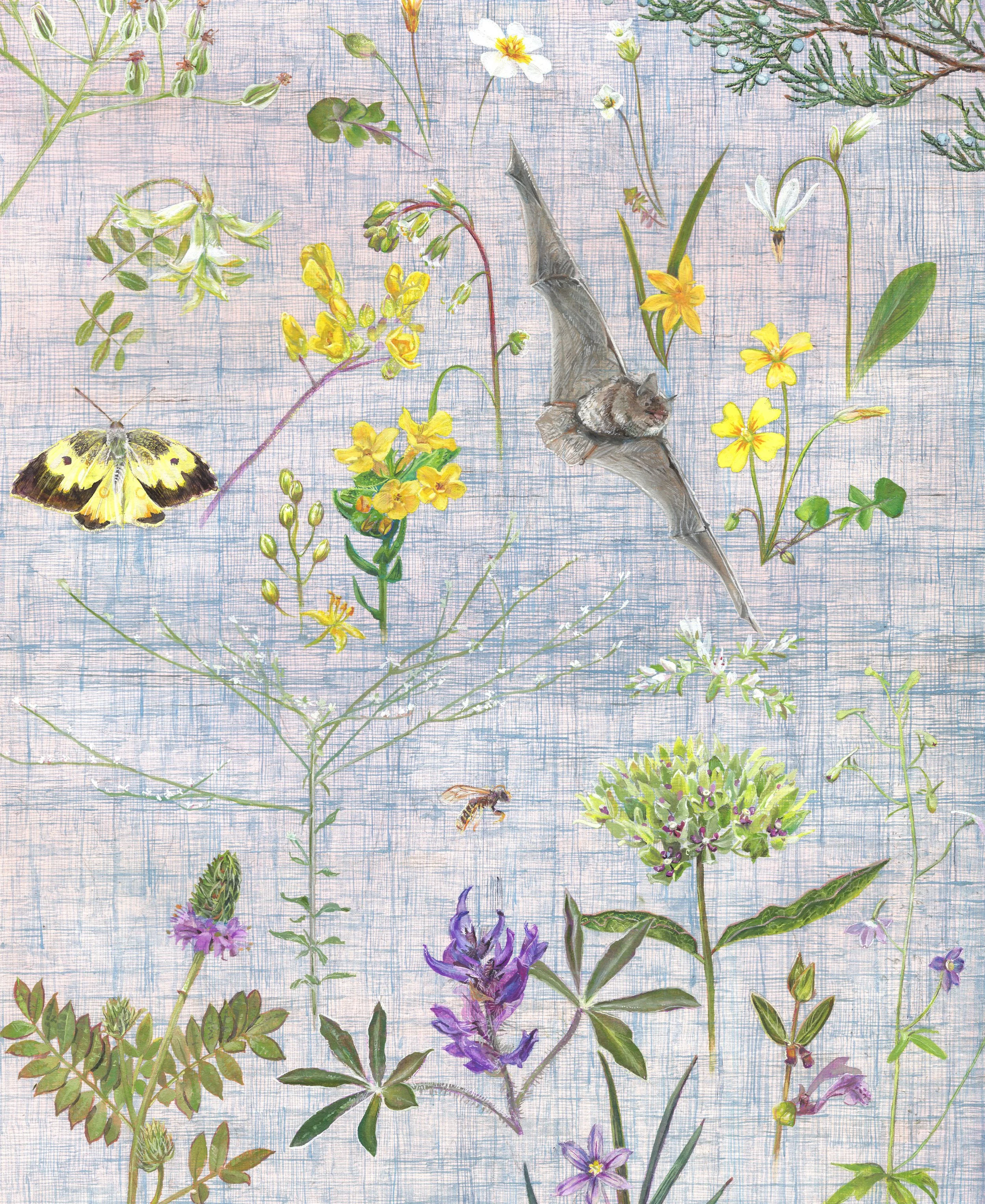  I’m raising this prayer flag for the Prairie Grove Glades Preserve in Lawrence County, Alabama. It is for all the endangered, endemic, and native species that are quickly vanishing due to development and lack of education of the importance of this u