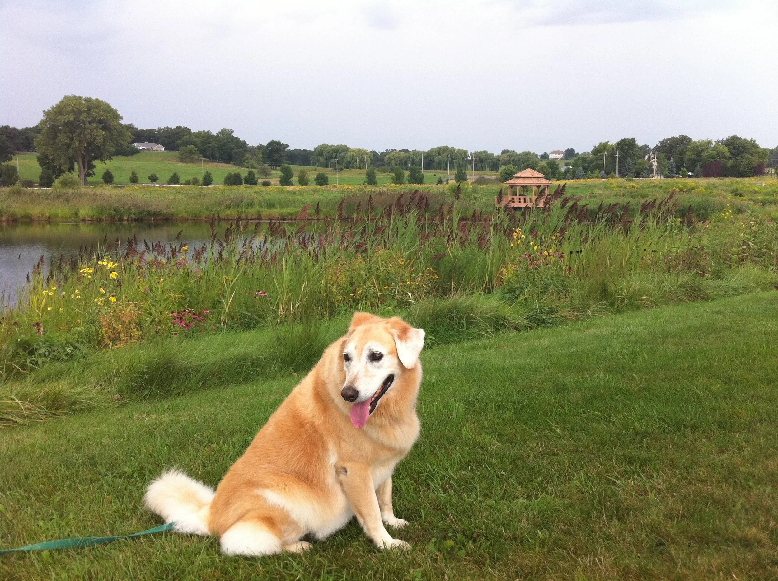 Custom Readings & Services - 60 minutes