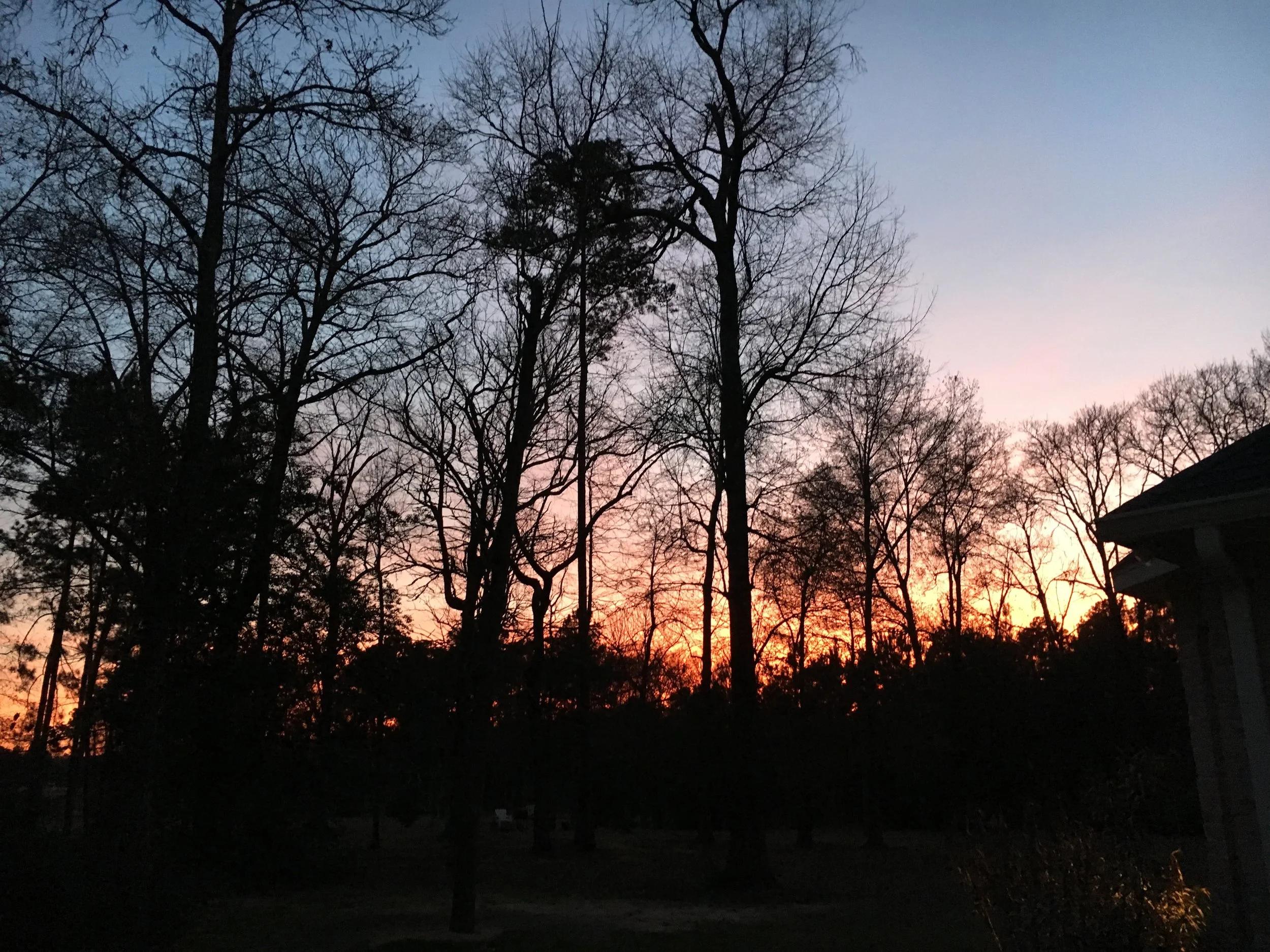 Annual Chart (Varshaphal) Reading - 45 minutes