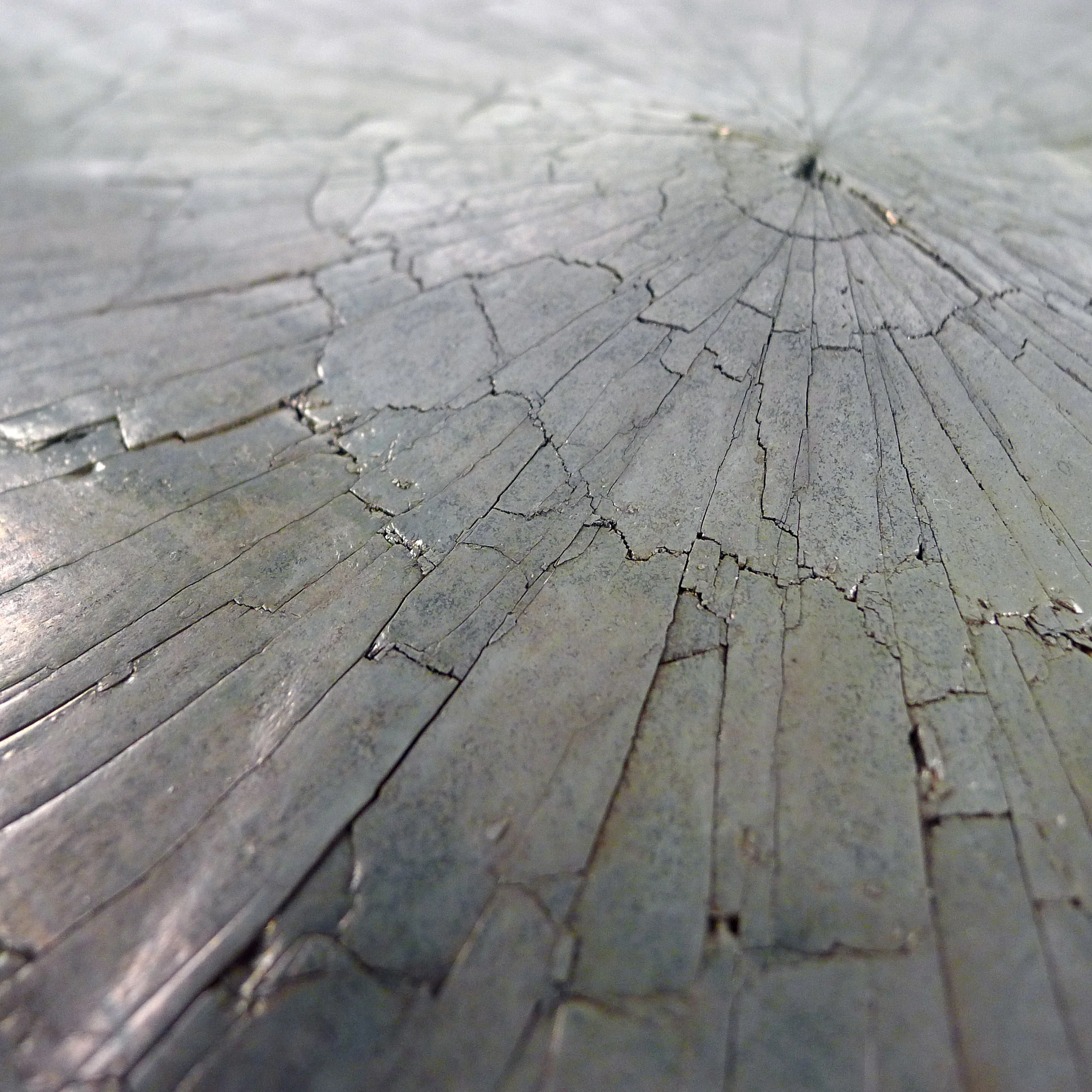 EJERCICIO DE PERCEPCION DETAIL 3.jpg