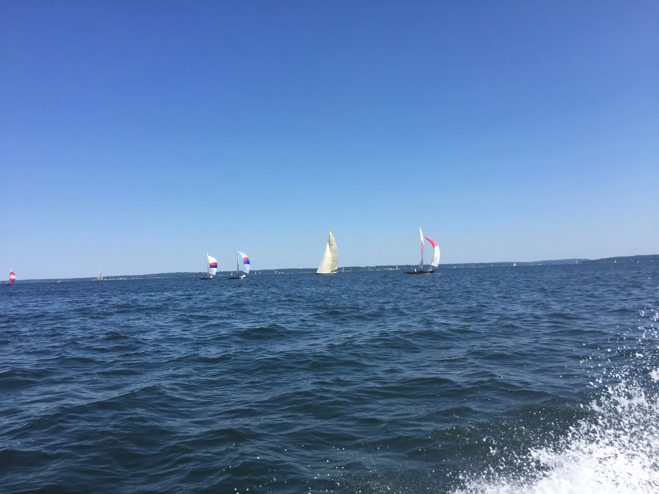 IMG_2227.jpg
