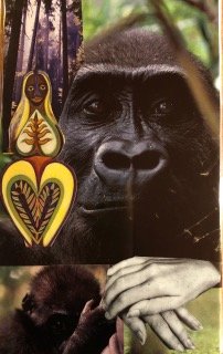 Soul Card 6- 4th Chakra, Gorilla Wisdom
