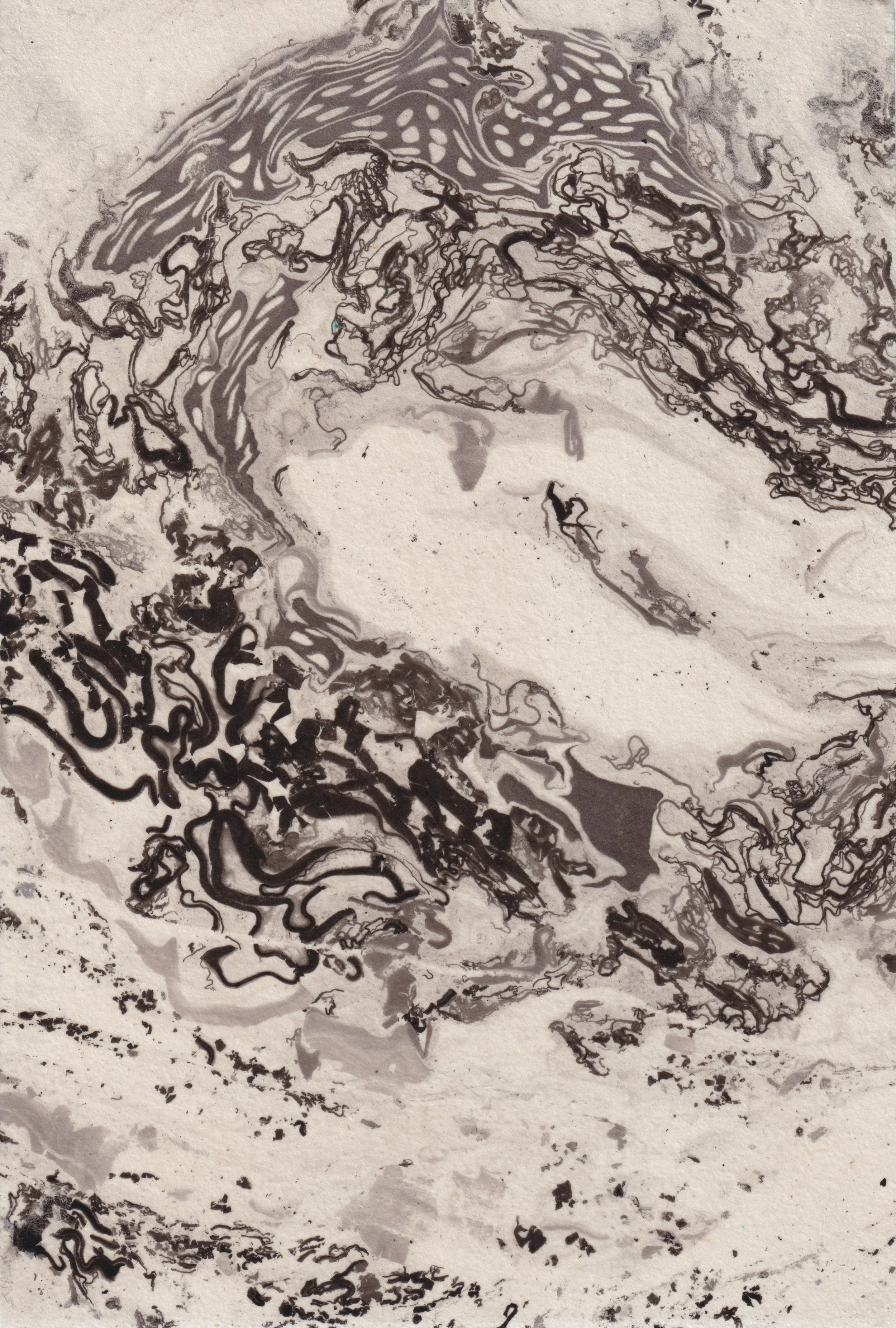 Sudi_Suminagashi_Work2 - Sudi Wang.jpeg