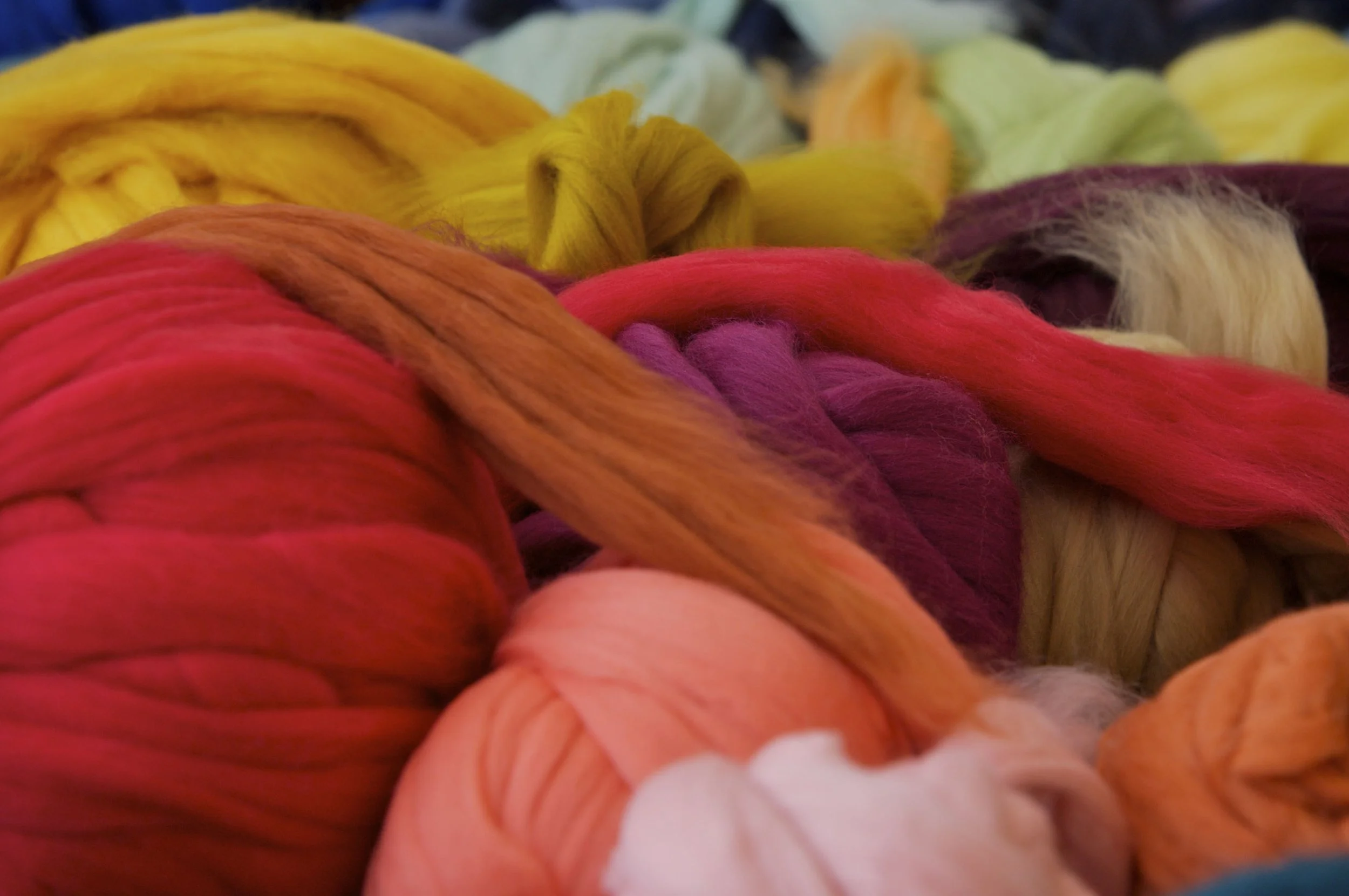 NCSW  1-30-09 (144) copy.jpg