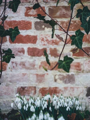 brick and green 2.jpg