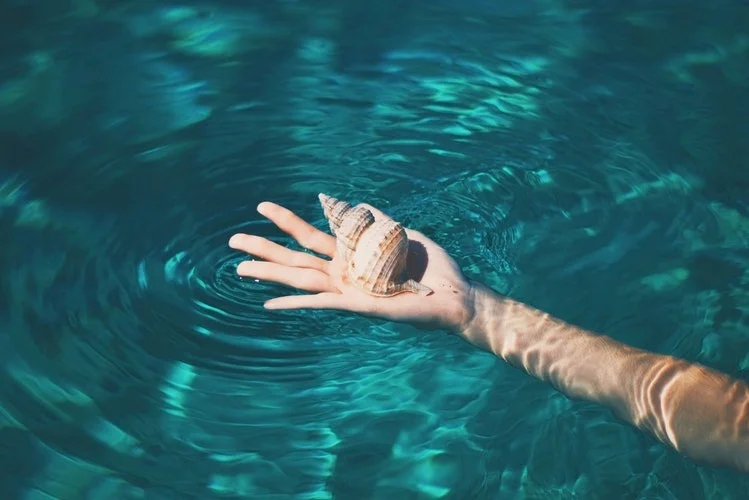 HAND AND SEA SHELL.jpg