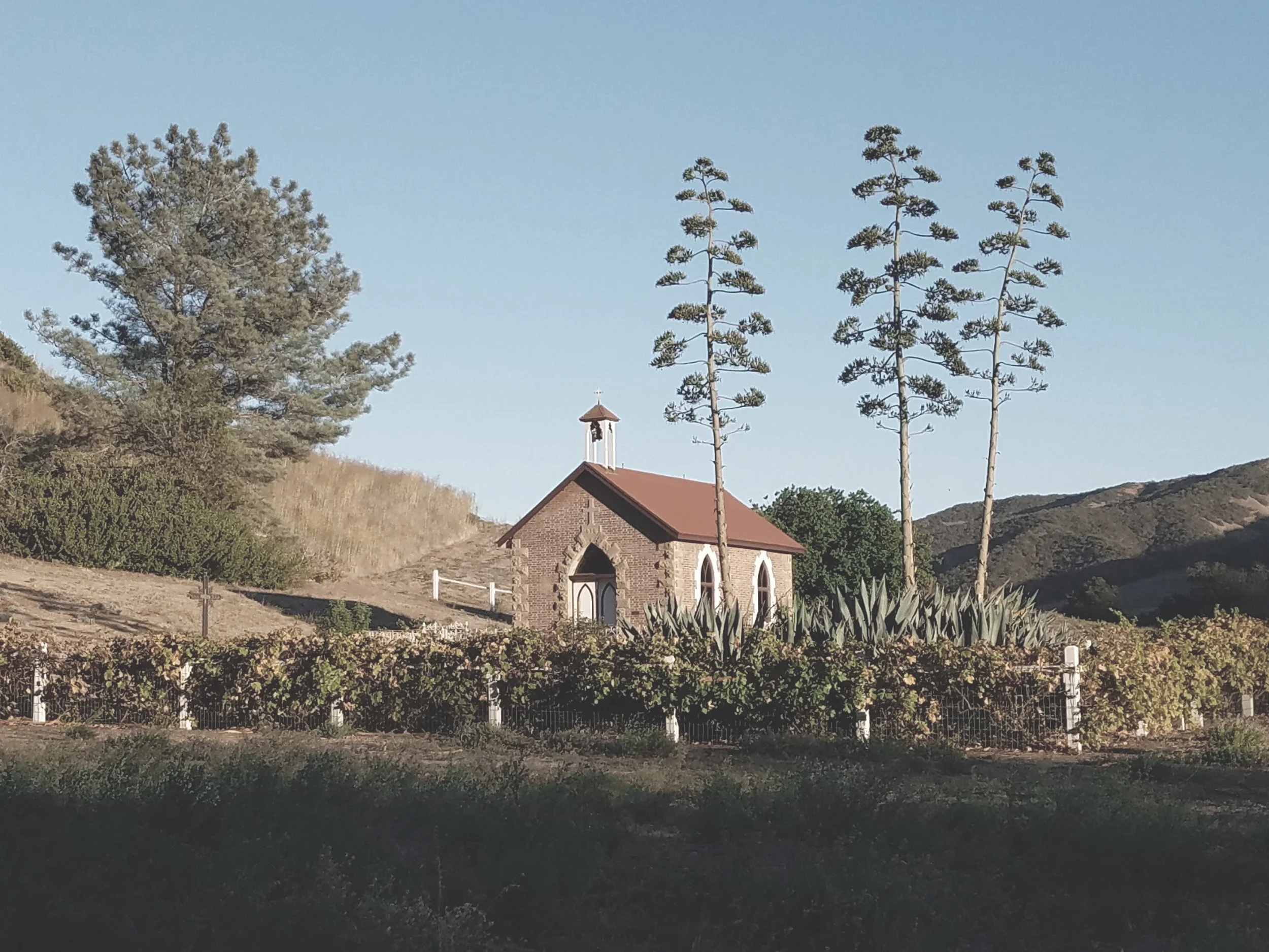 santa cruz island landscape architecture ten over studio.jpg