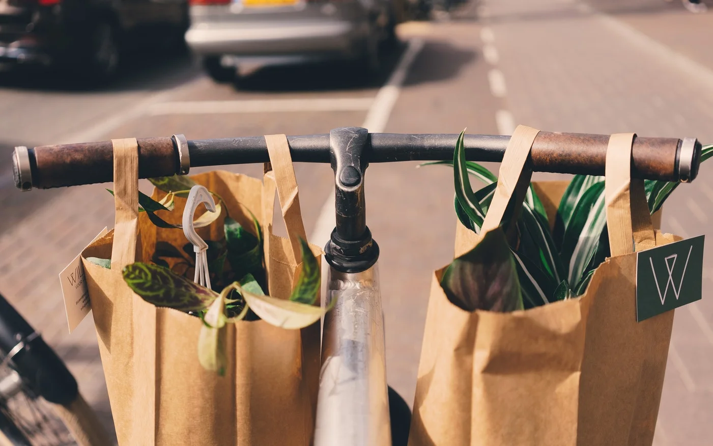 shopping cart bike.jpg