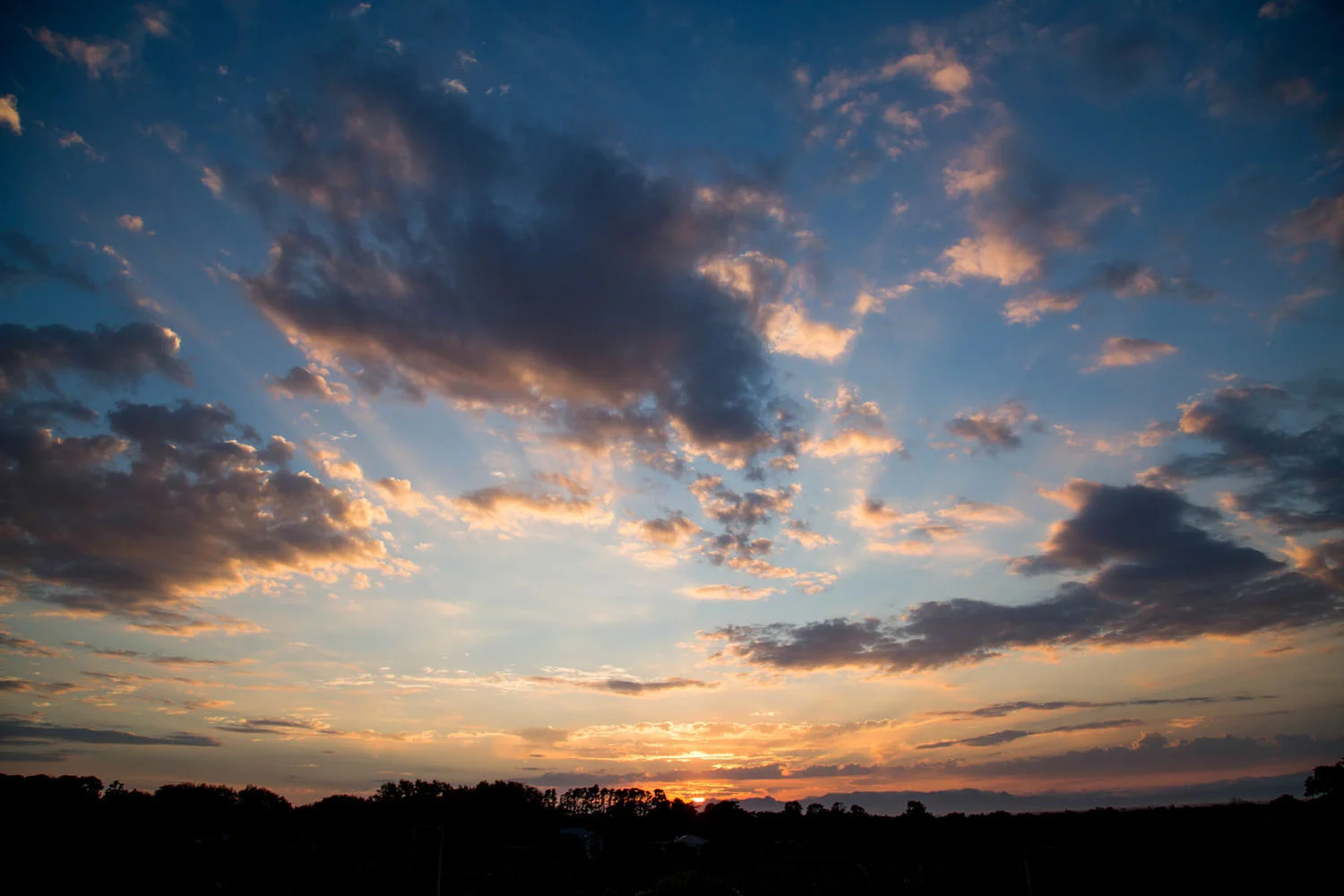 cape town wedding photographer