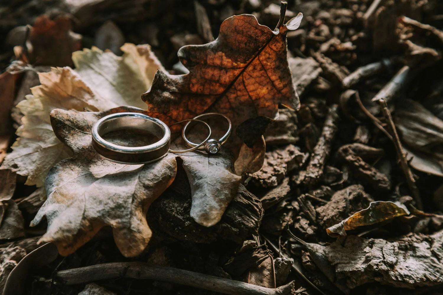 wedding-rings