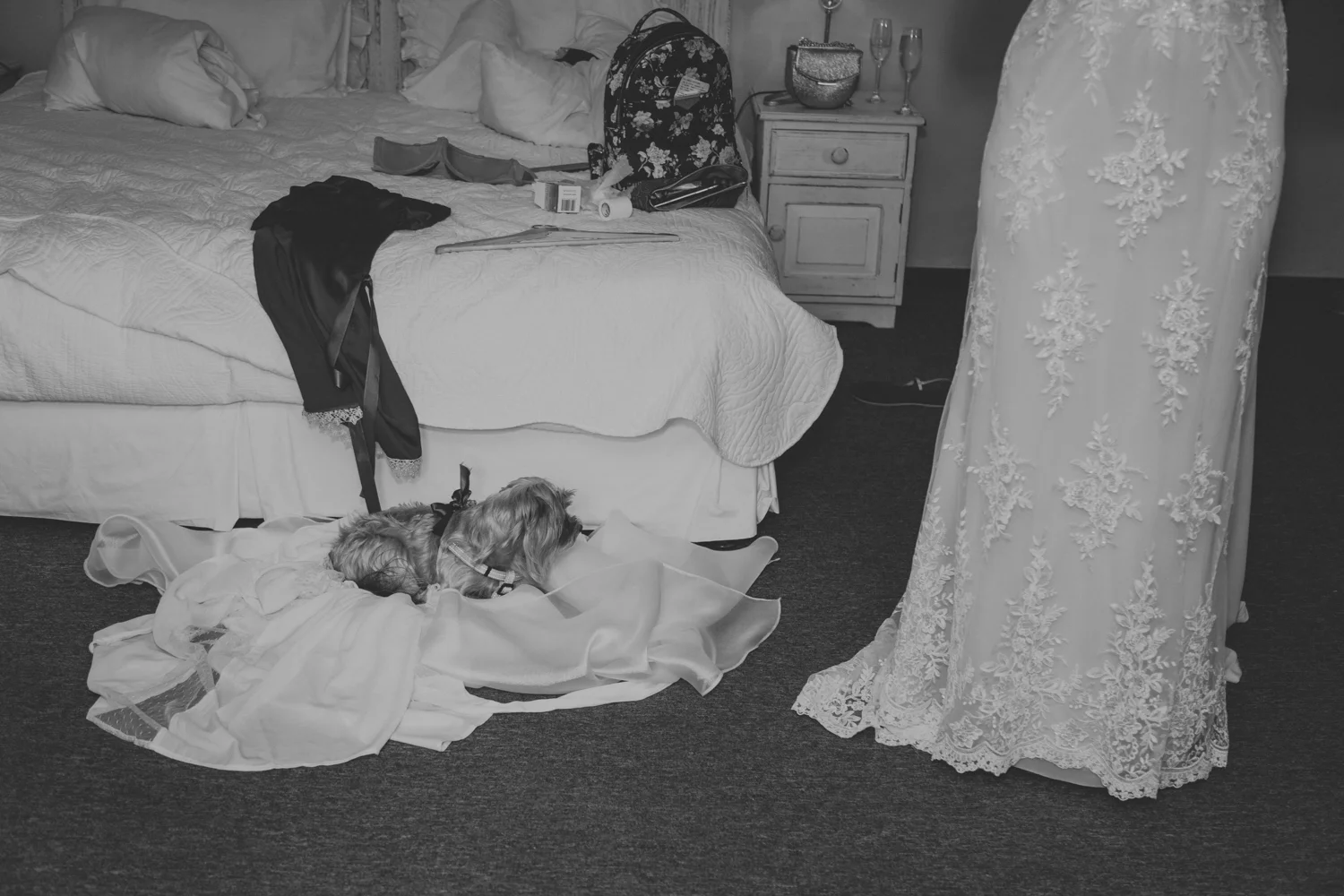 Elegant Country Wedding Cape Town - Bianca Asher Photography-20.jpg