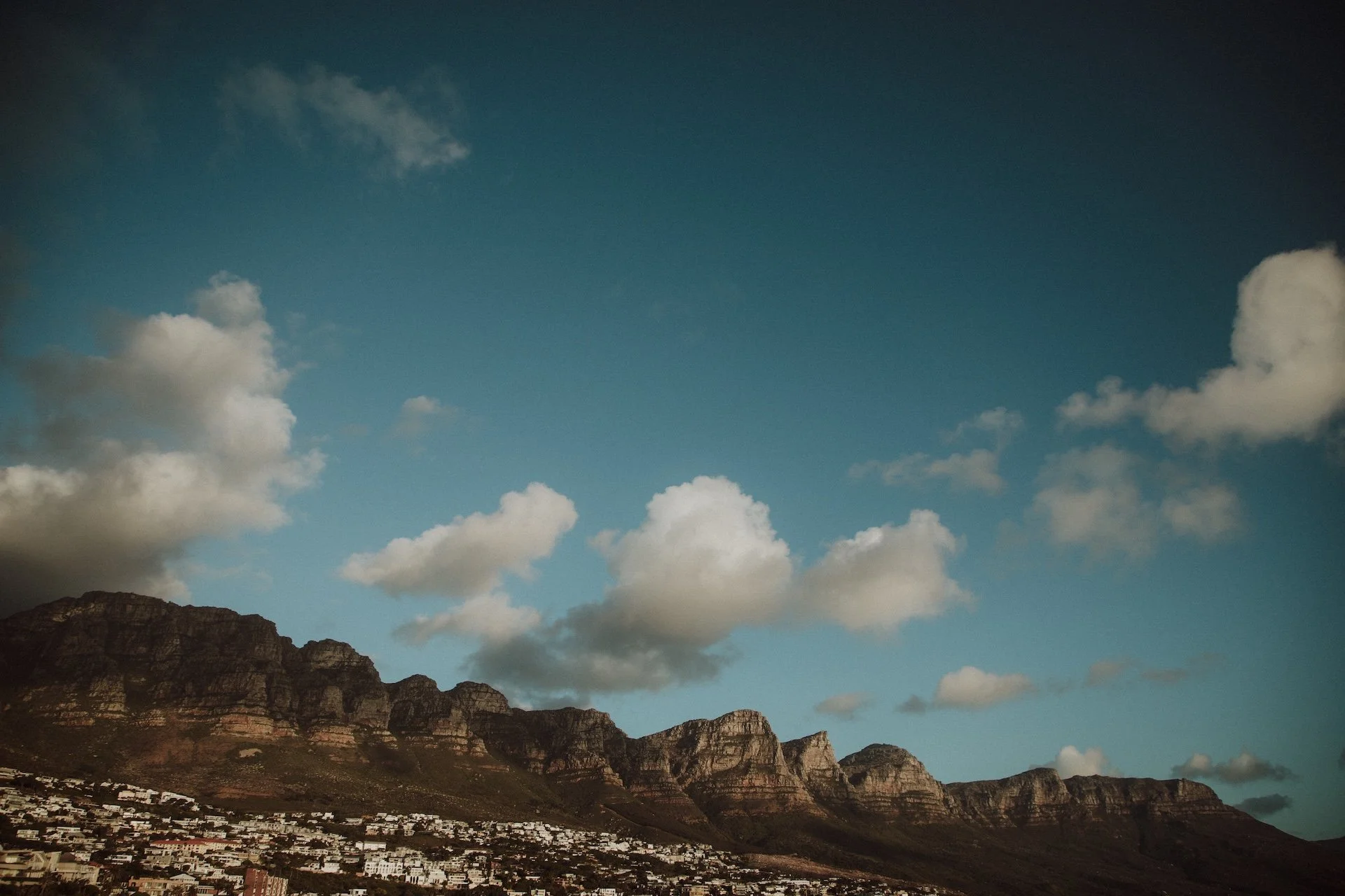 Cape Town Winter Proposal - Bianca Asher Photogrpahy-1325.jpg