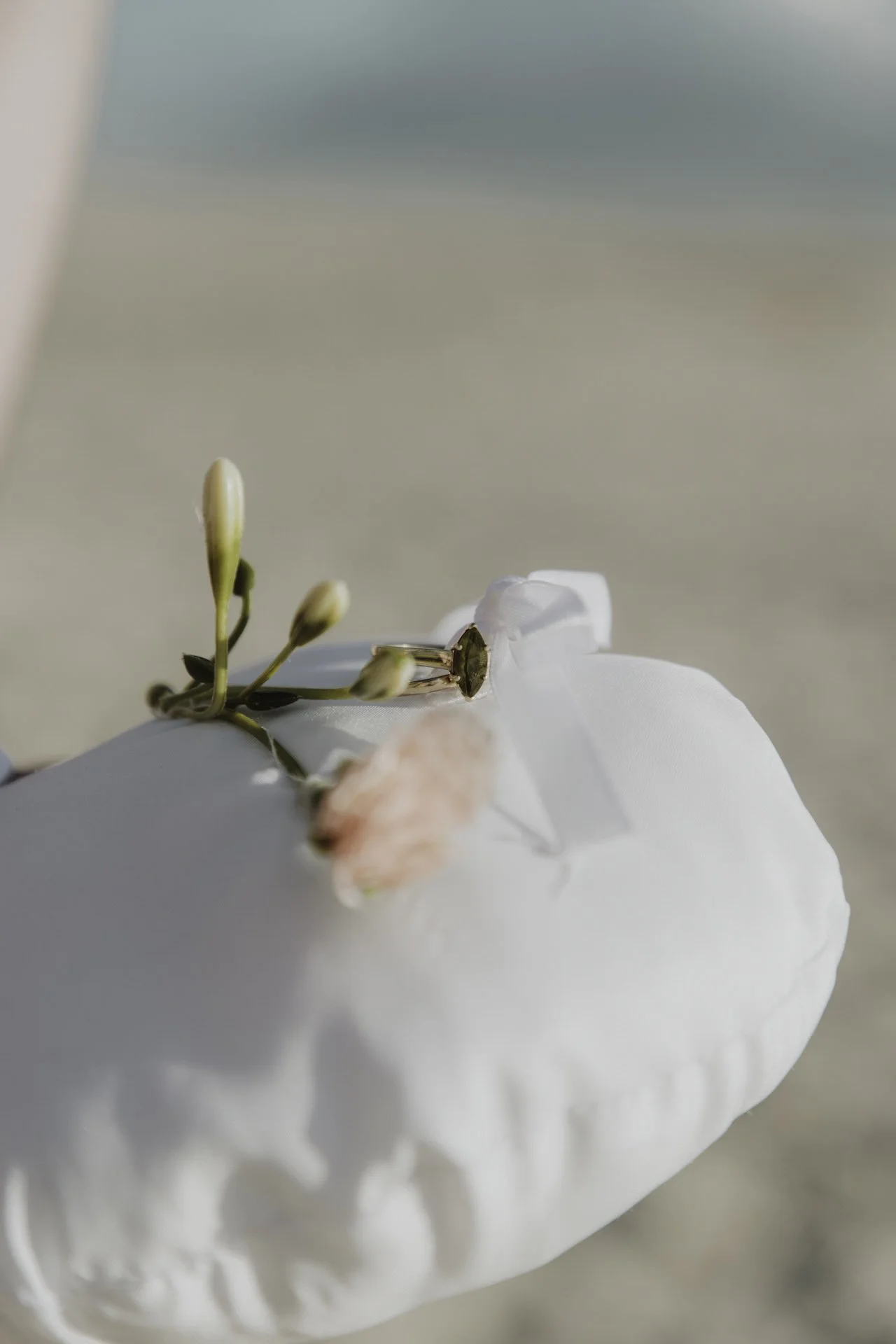 Cape Town Beach Elopement - Bianca Asher Photography-4.jpg
