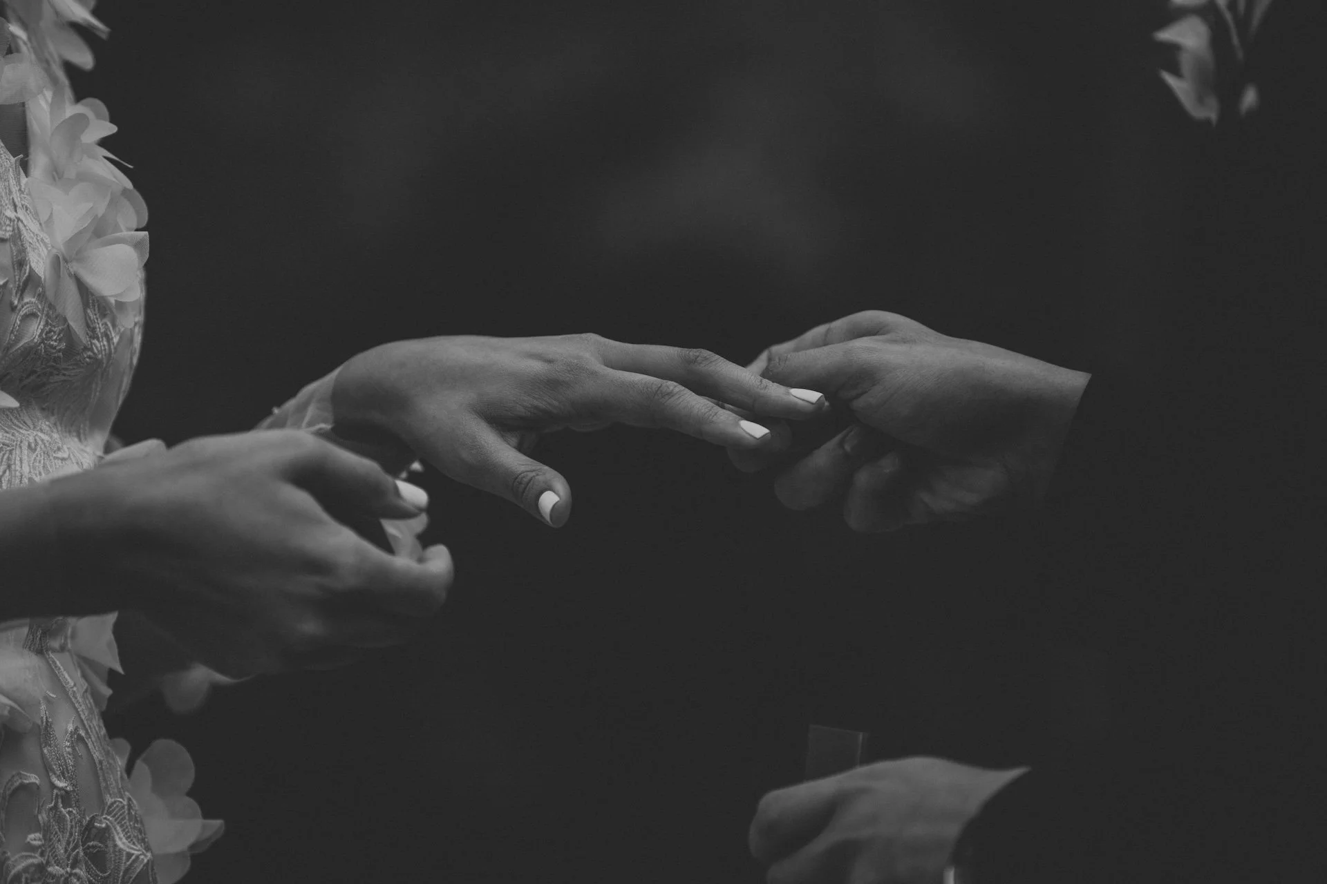 Cape Town Wedding Photographer - Bianca Asher.jpg