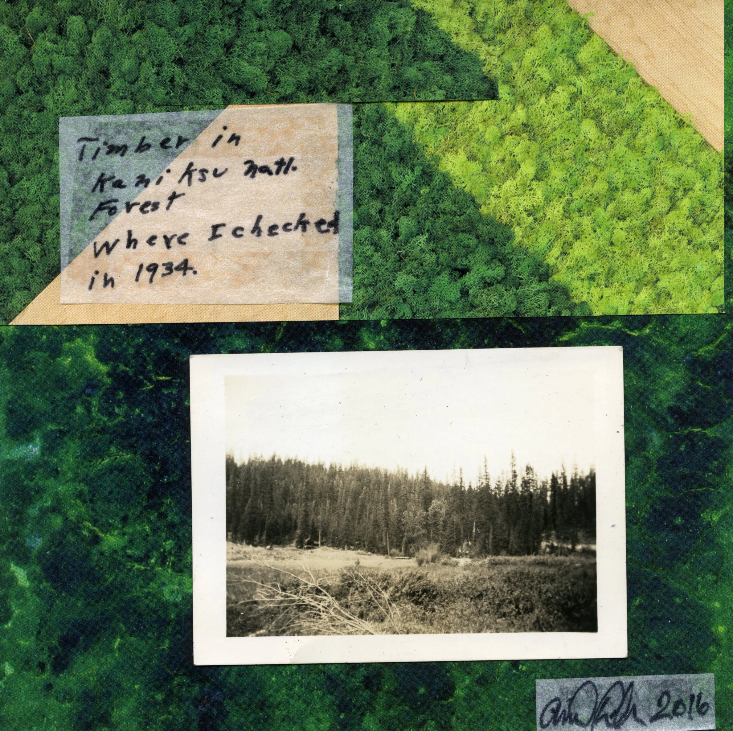 Timber