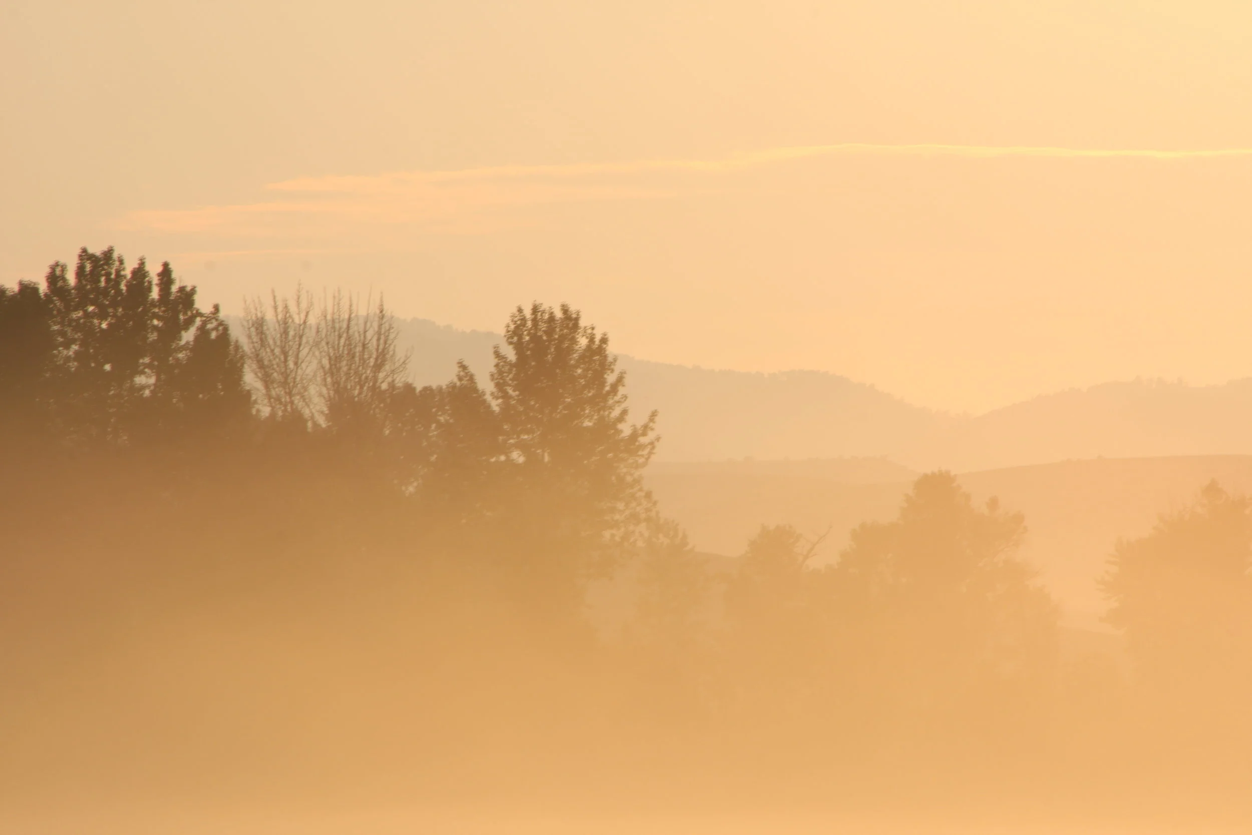Orange Haze