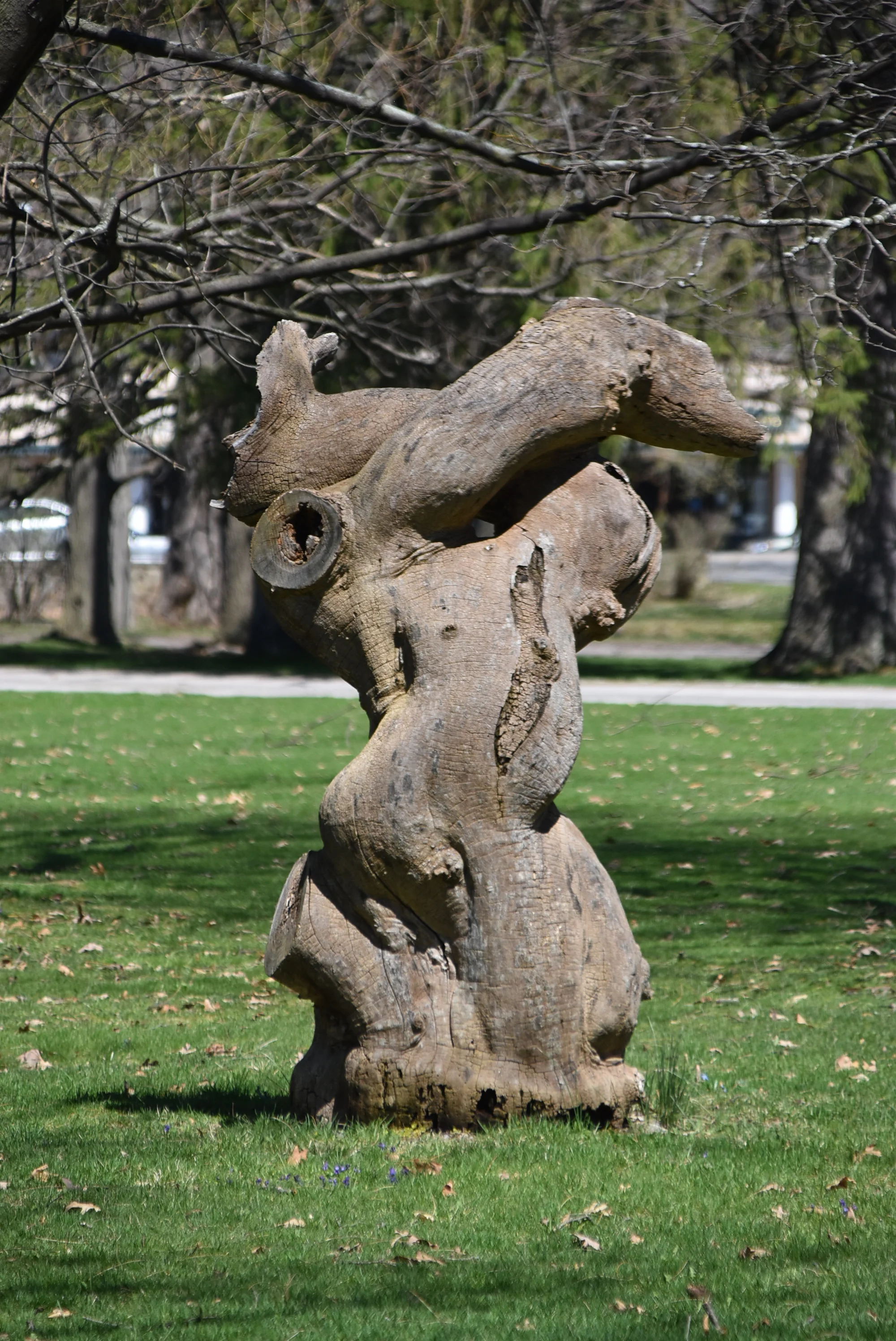 DSC_0050.jpg