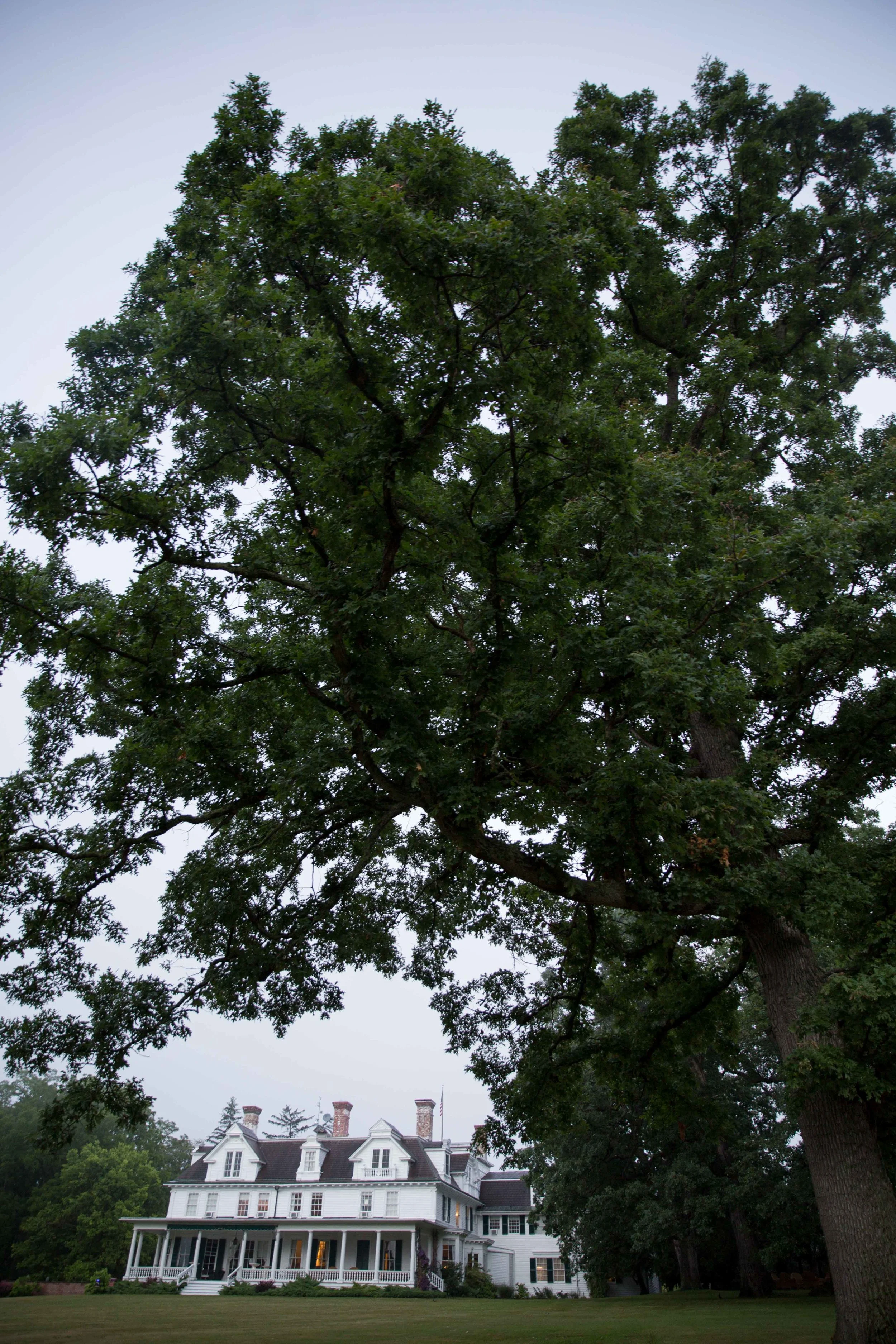 003A9639.jpg