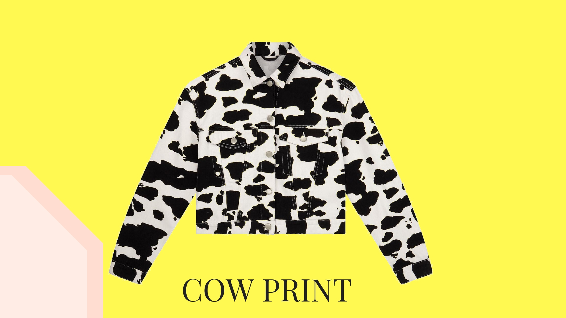 cow print - the edit.jpg