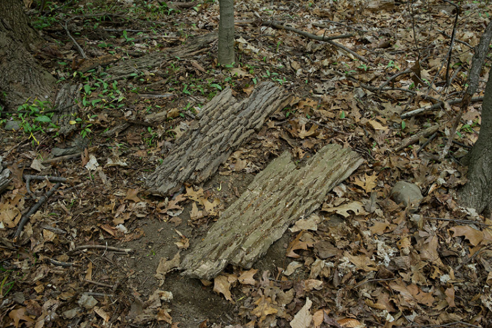 David Brooks Permanent Field Observations, 2018 via. Indicators.StormKing.net