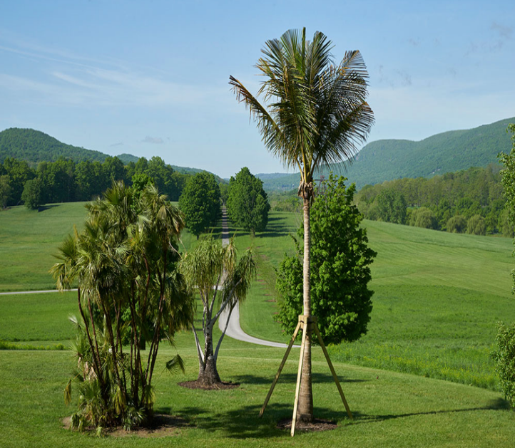 Mary Mattingly Along the Lines of Displacement: A Tropical Food Forest, 2018