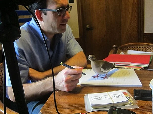 dan-with-dove.jpg