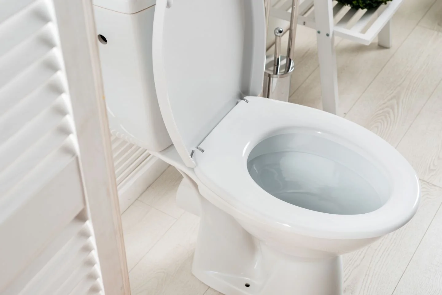 What to Do if Your Toilet is About to Overflow