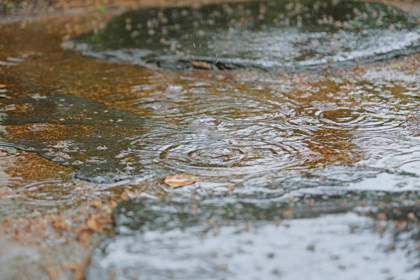Is Your Sump Pump Ready for Storm Season?