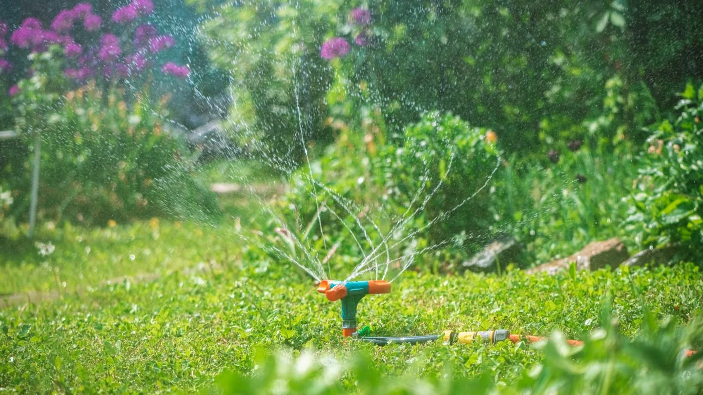 Tips to Help Reduce Your Water Bill During Summer