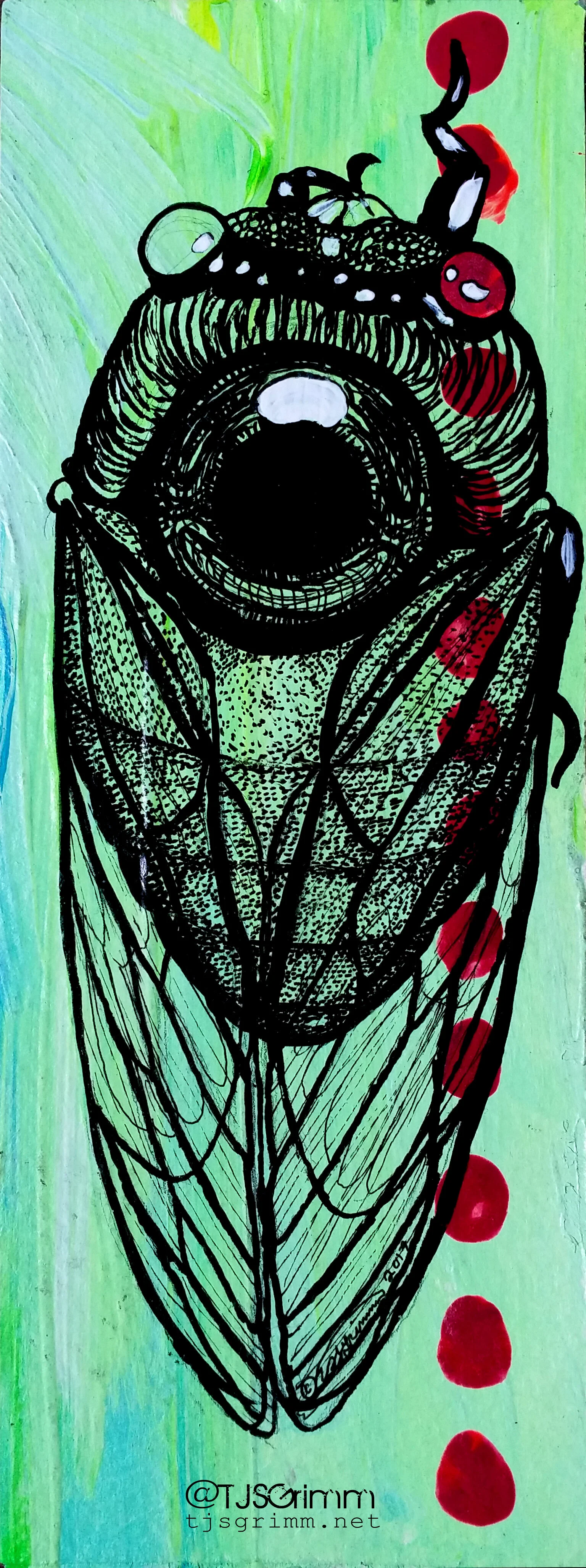 evileye cicada wm.jpg