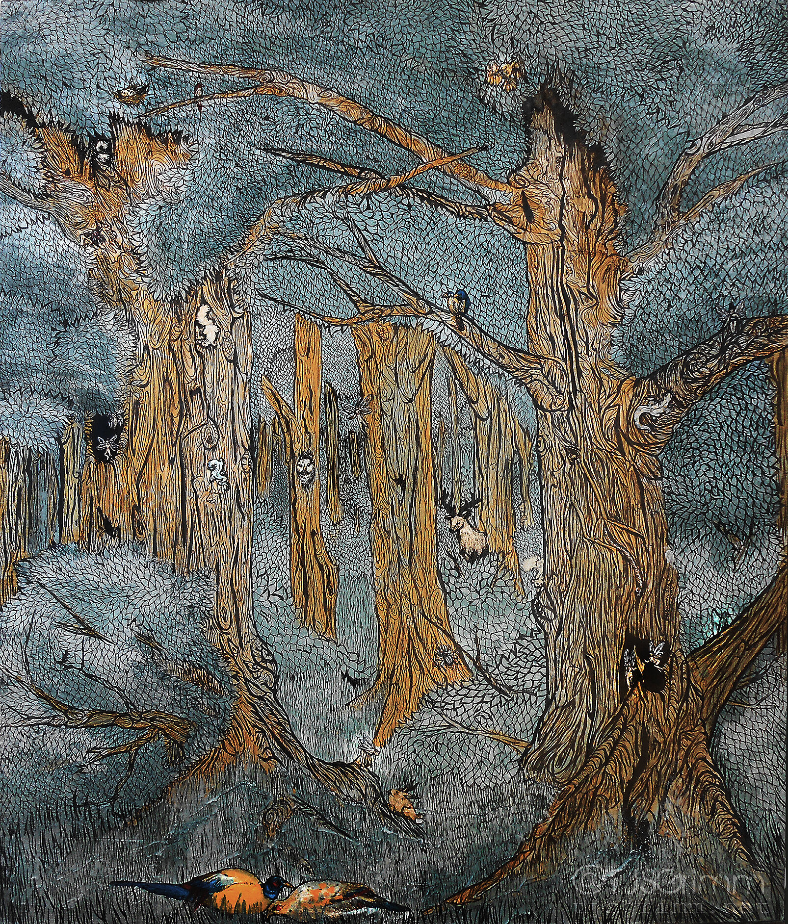 Petina Forest WM.jpg
