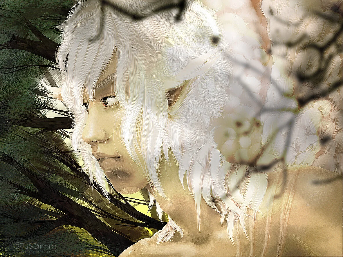 Crayen's Scars
