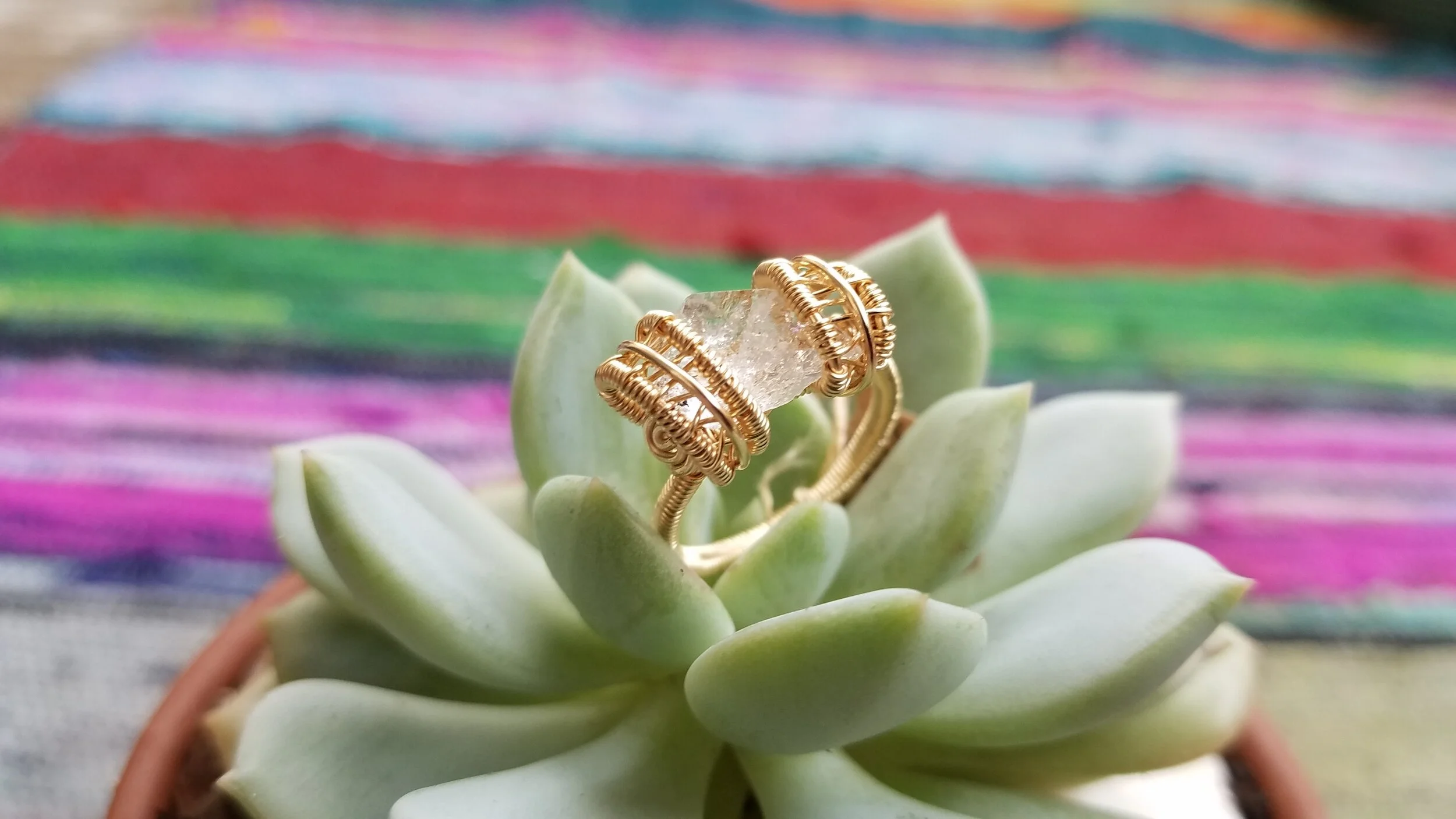20190618_122819.jpg