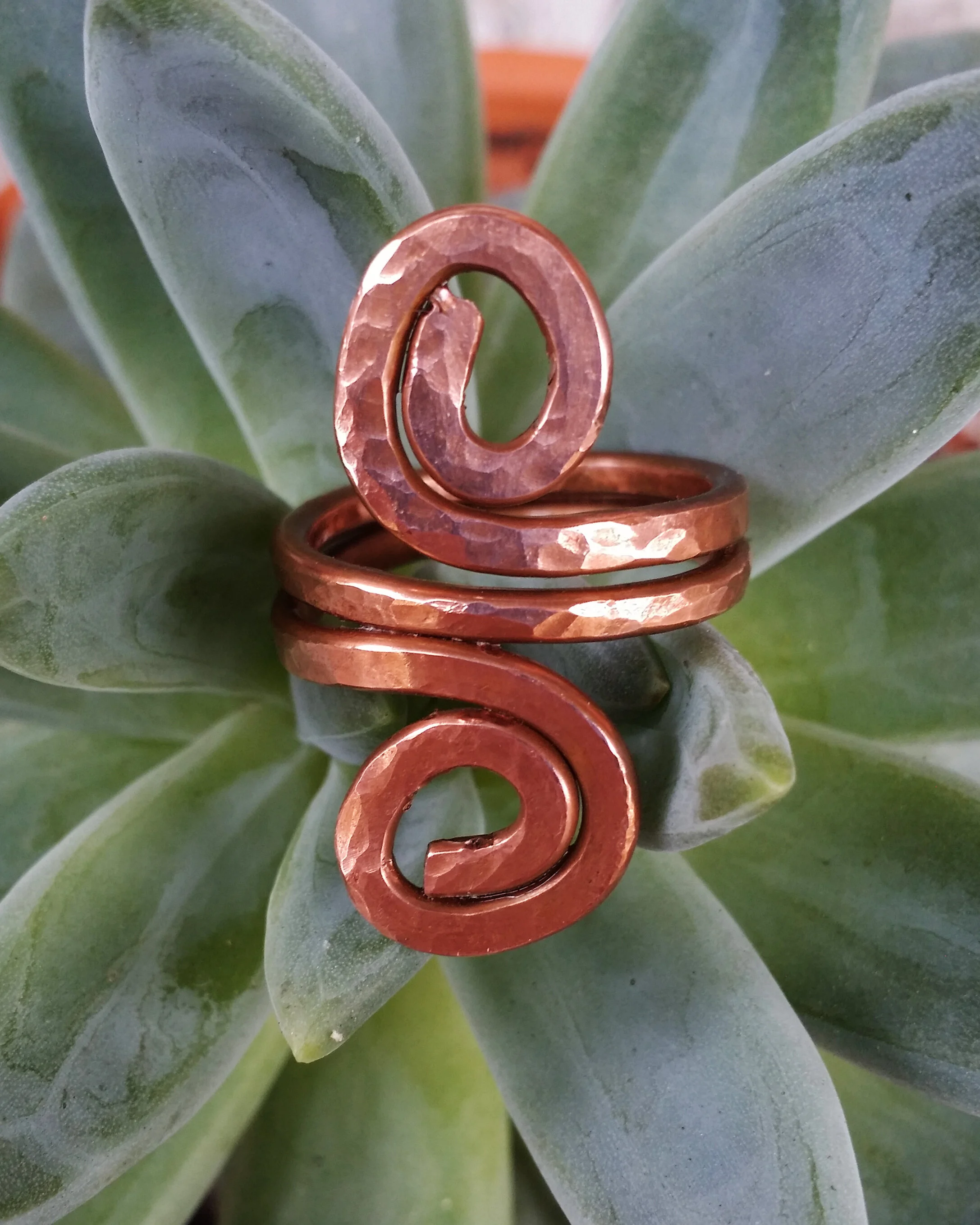 Copper S Ring (3).jpg