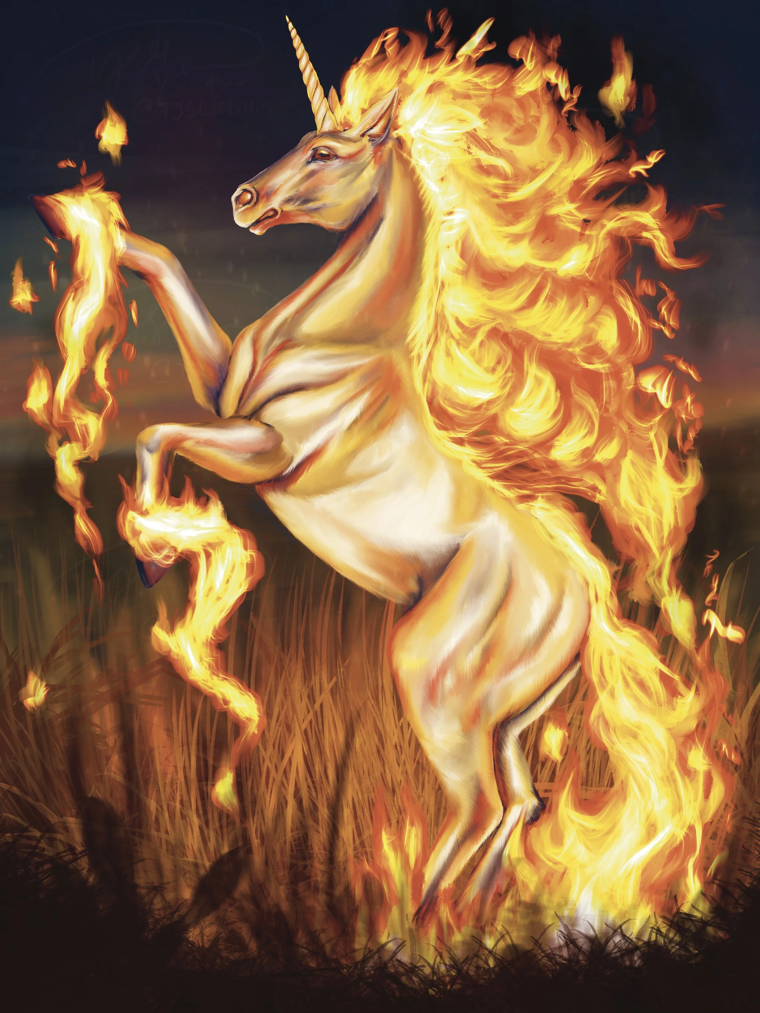 Rapidash