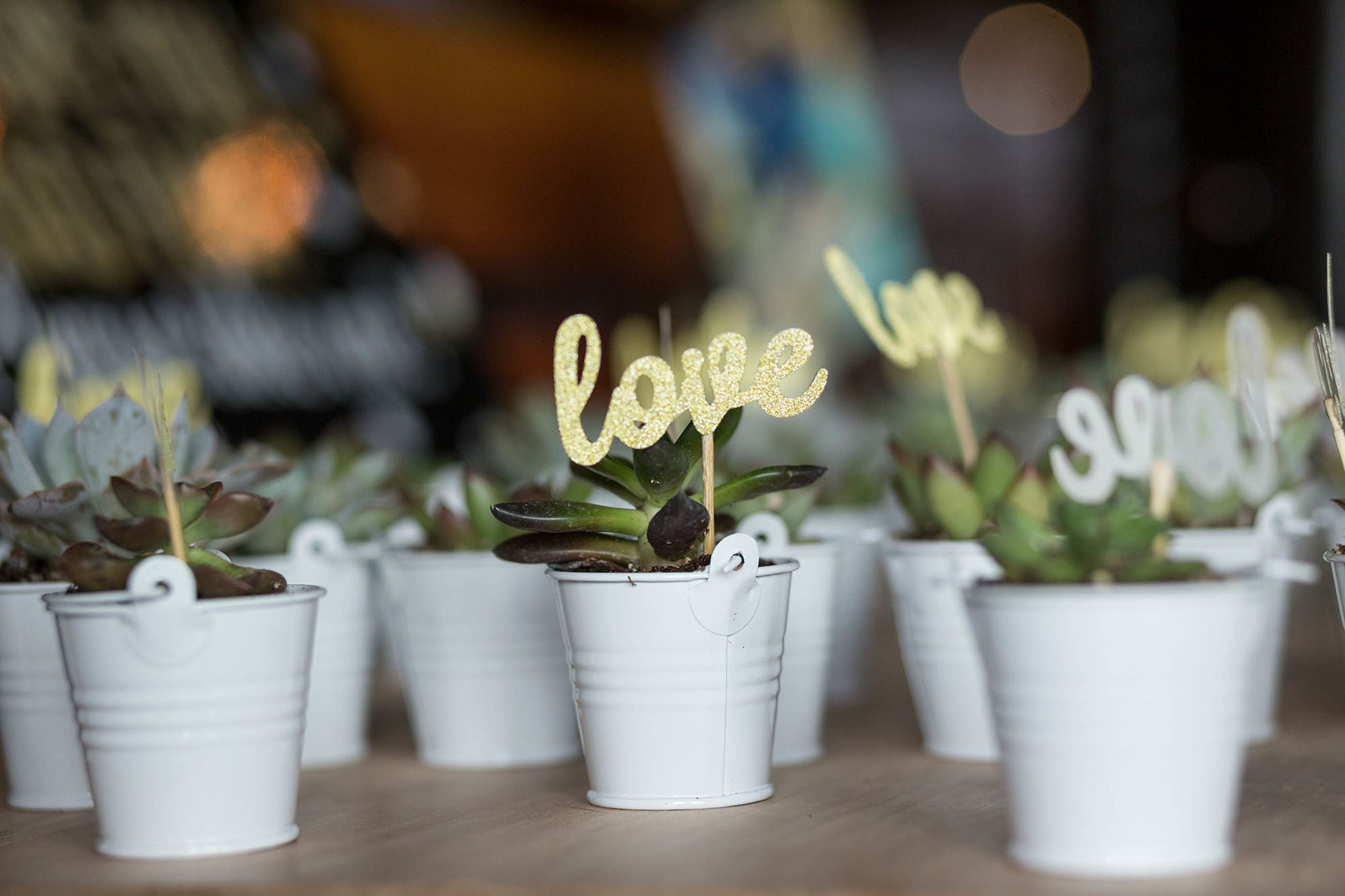 Best Seattle Wedding Photographers