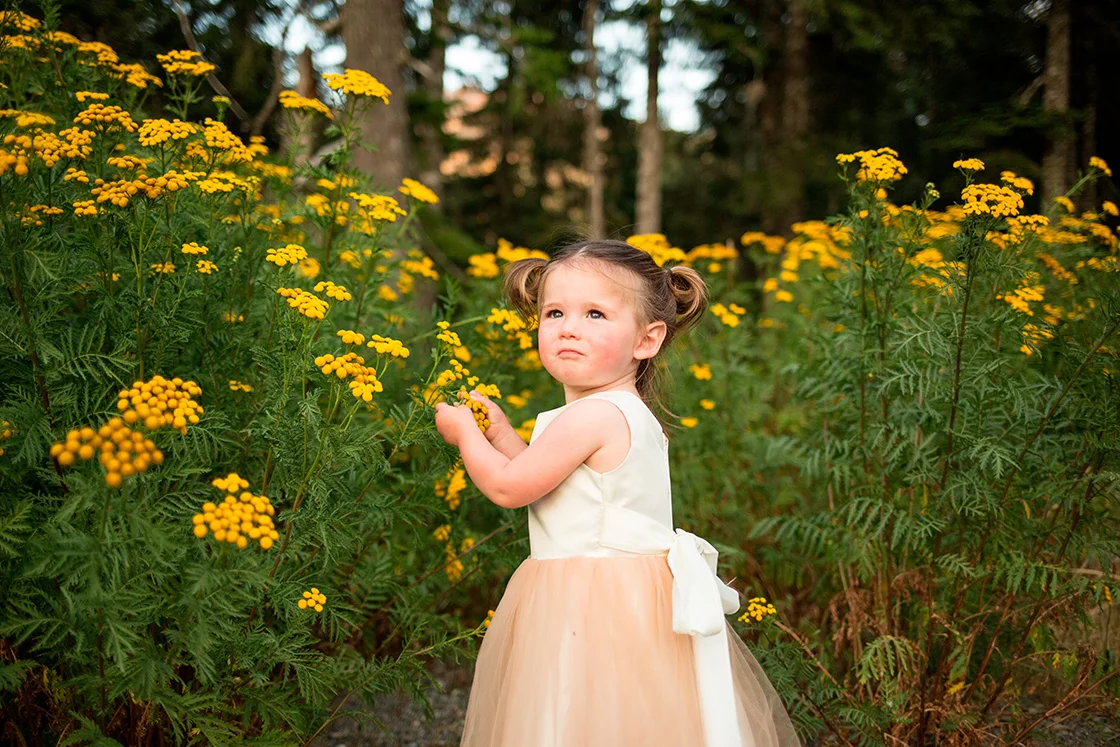 Best Seattle Wedding Photographers Entwined Weddings