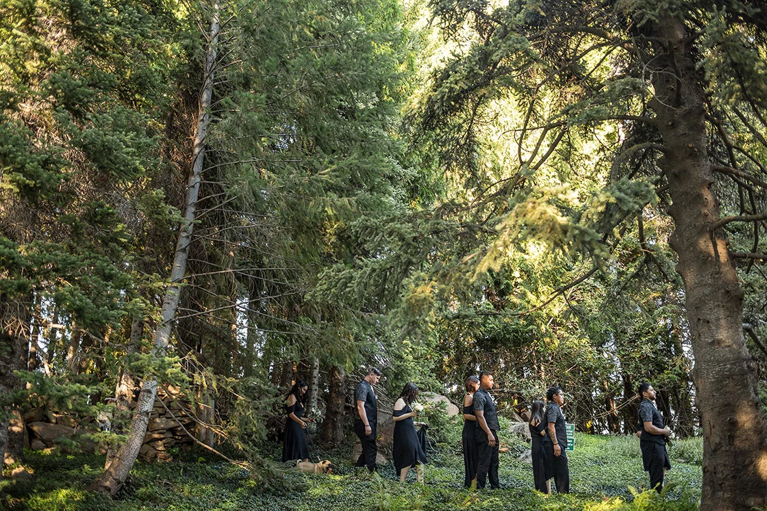 PNW Seattle Wedding and Elopement Photography