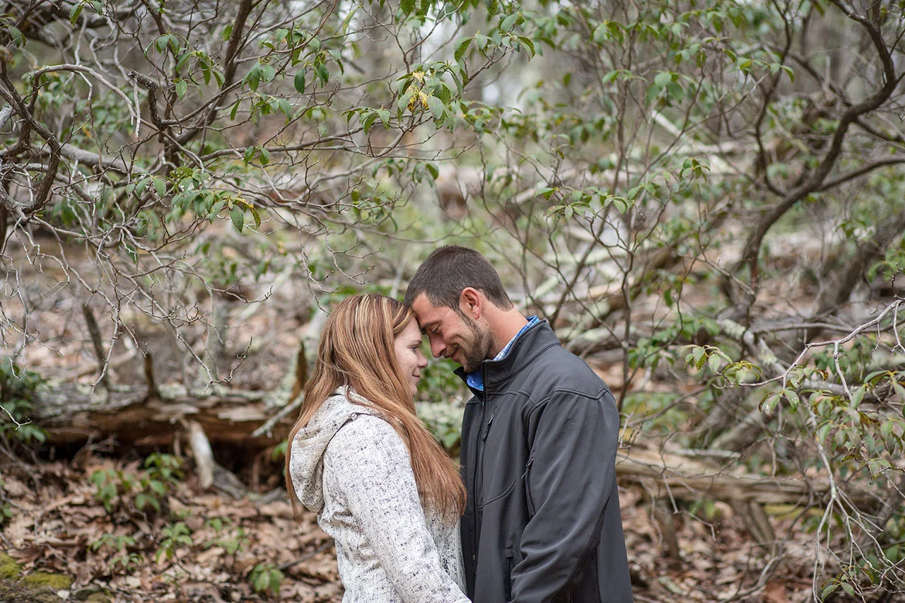 Shenandoah Skyline Drive Engagement Photos Virginia Wedding Phot