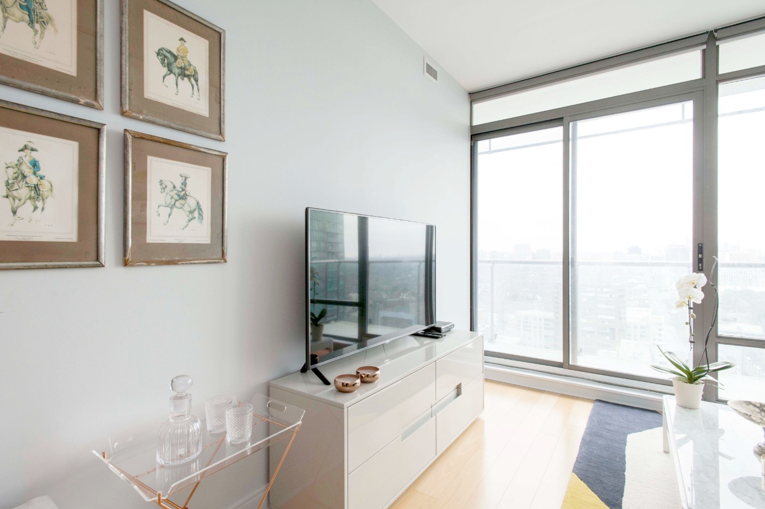Stunning Yorkville Rental - Television