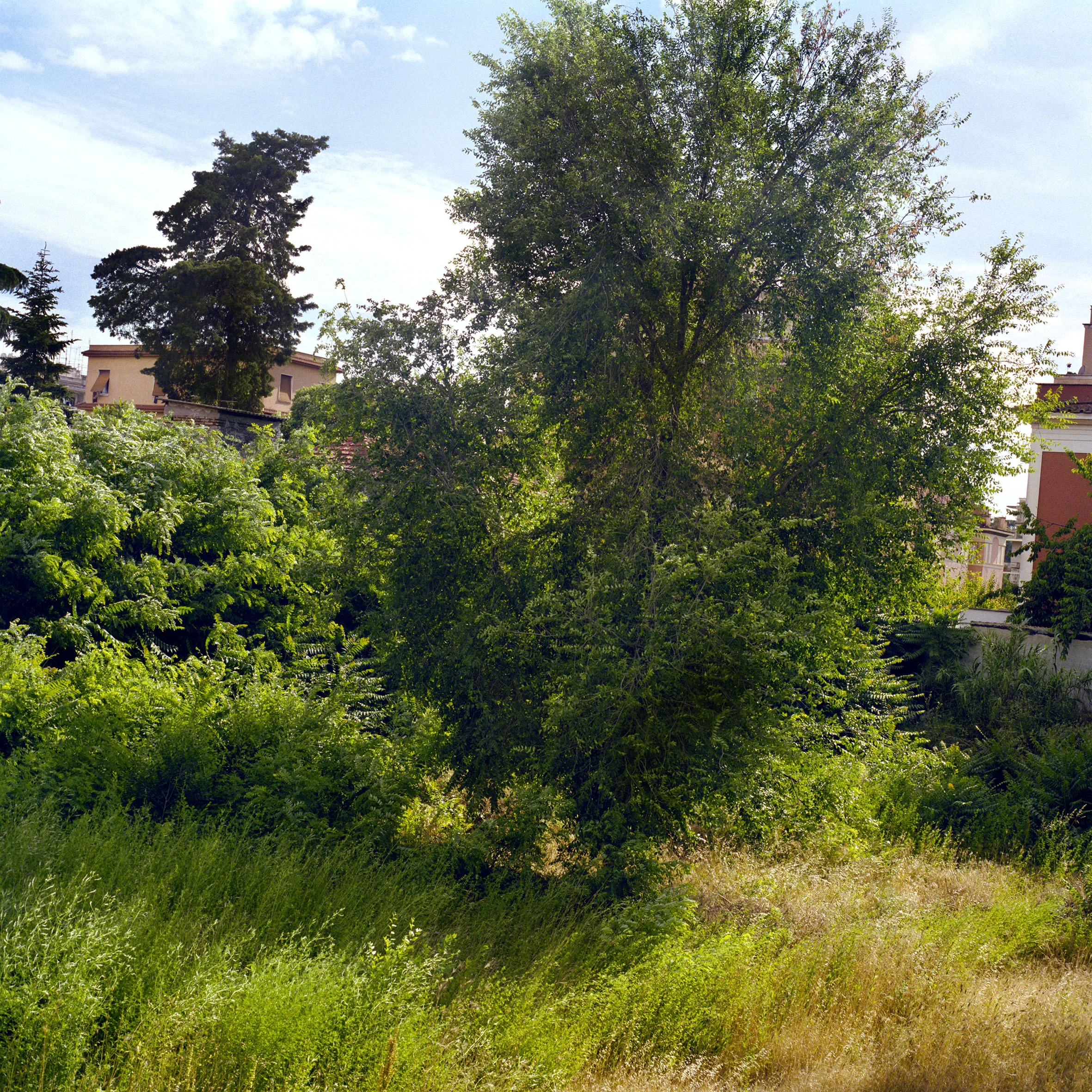 Calvelli_rome_in_between_05.jpg