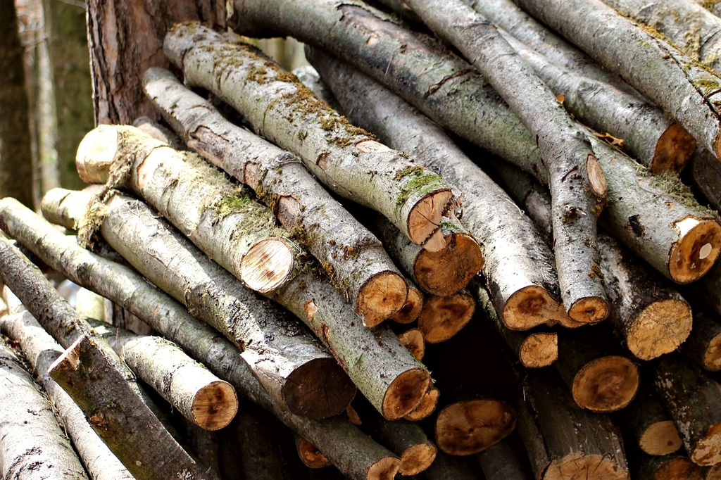 wood pile.jpeg