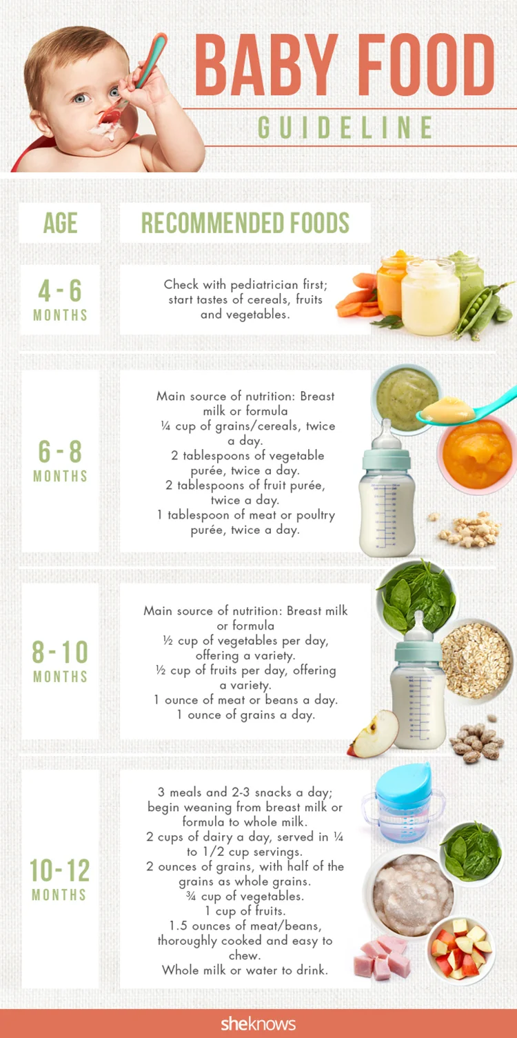 BabyFoodGuide.jpg