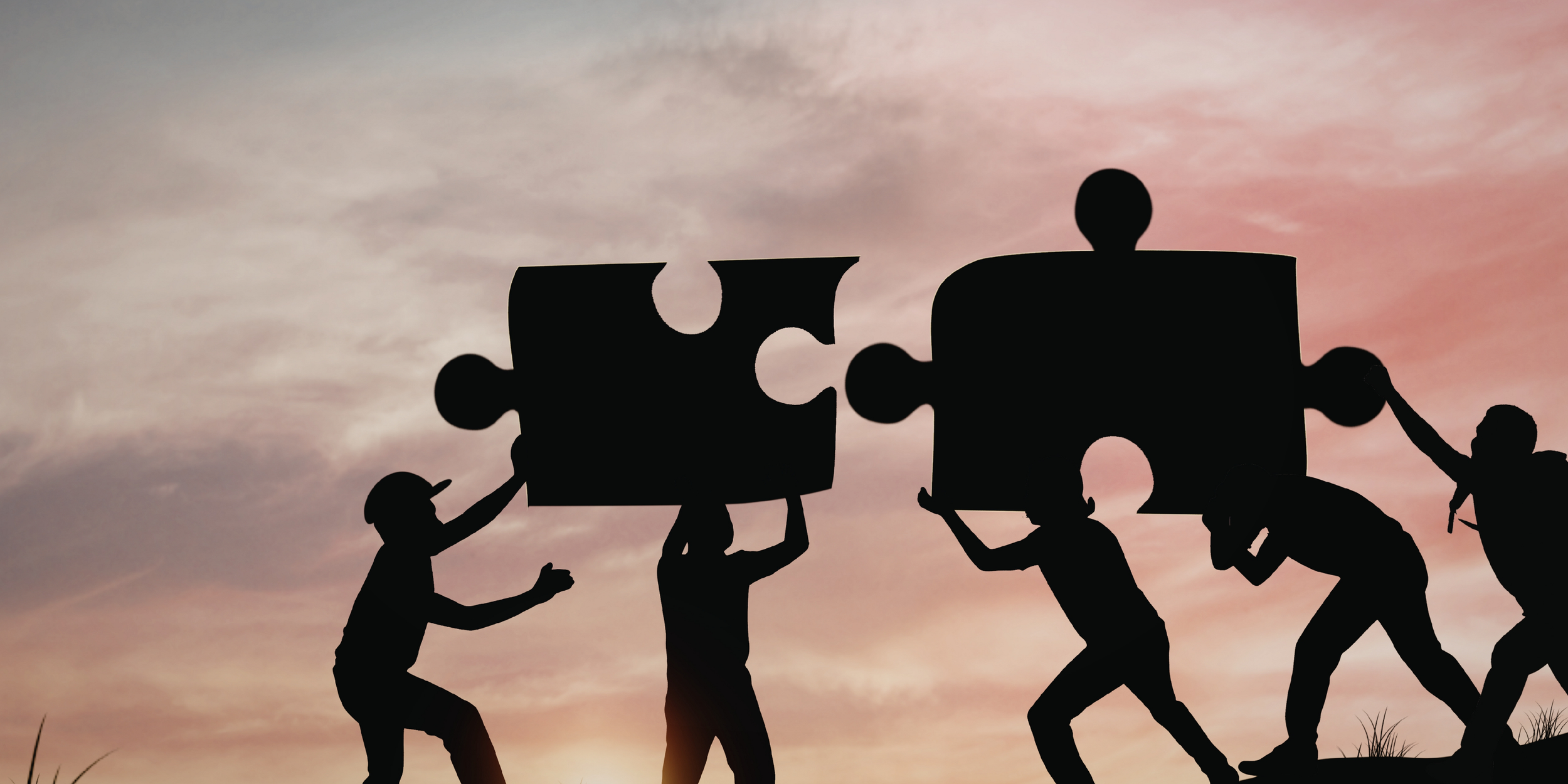 _ways to work with us.png