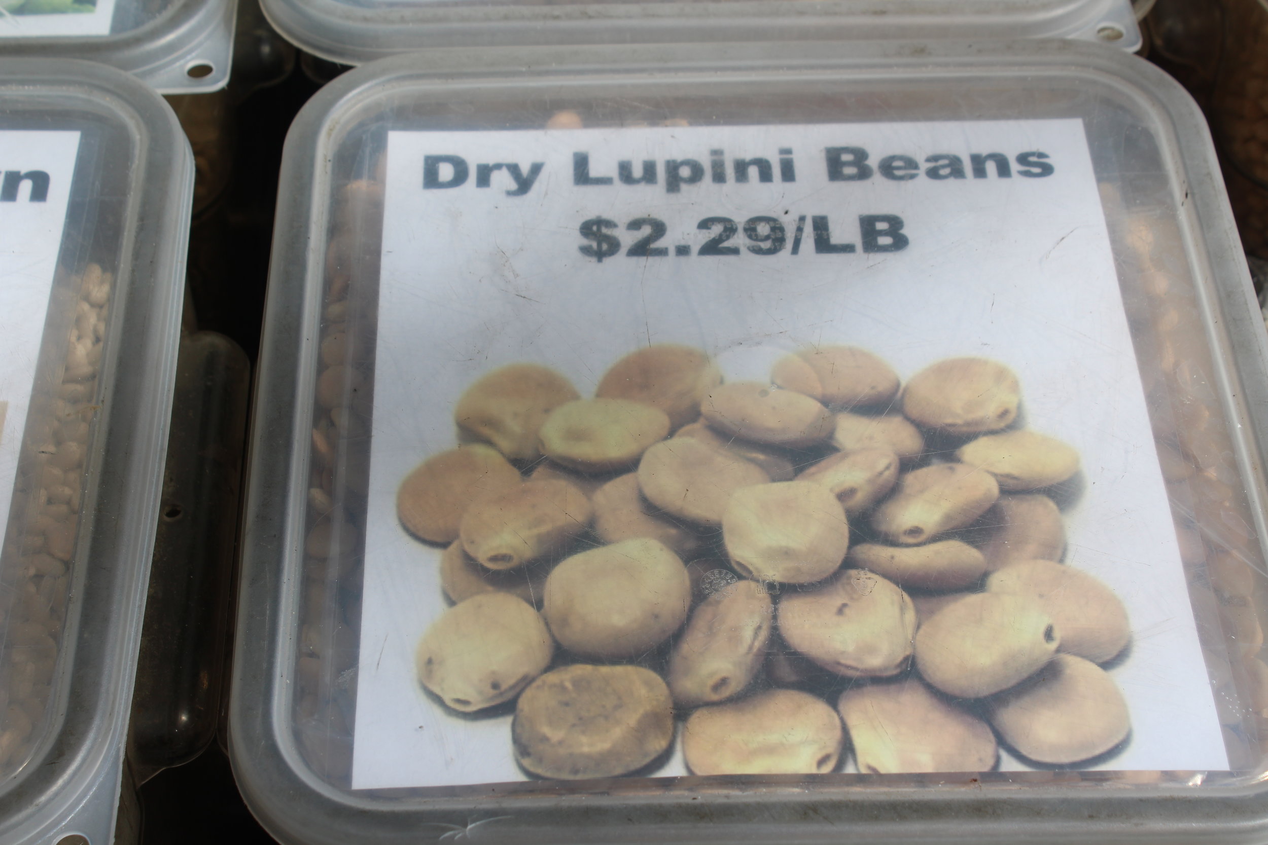 The Lupini Bean Legend — Arthur Avenue Food Tours