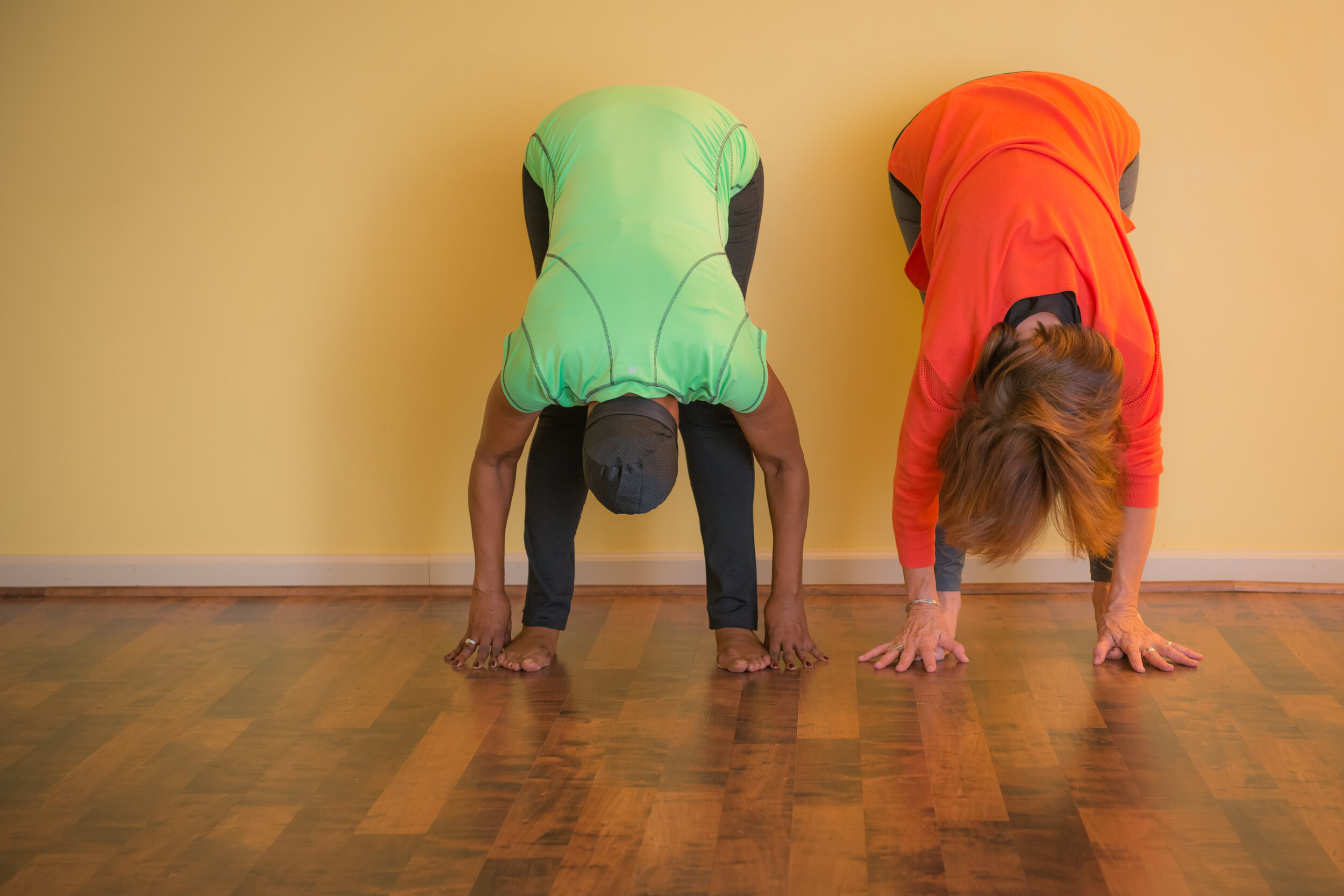 Basic Yoga (in studio) MONDAYS
