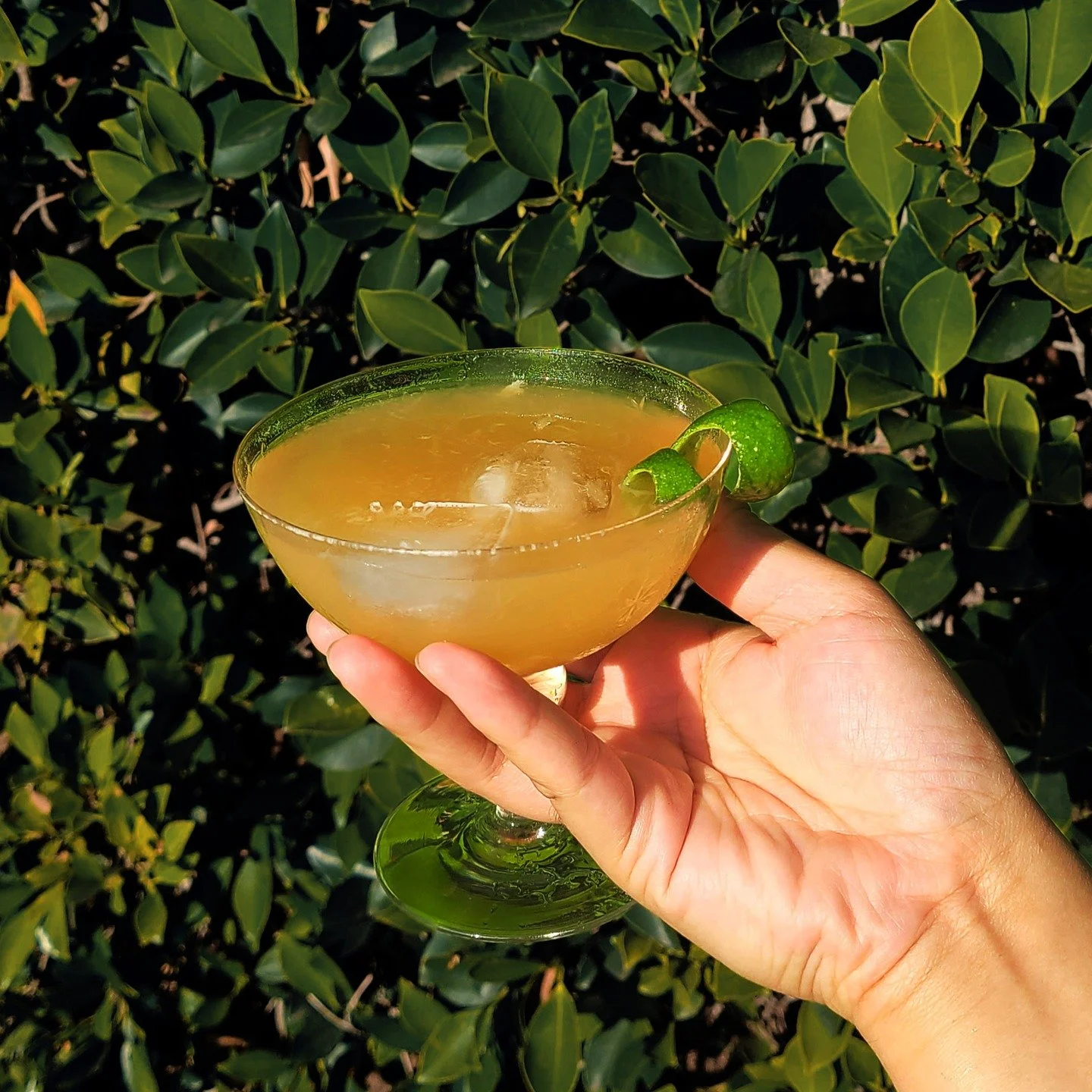 Crisp, bright, and a touch of spice: a Ginger Bourbon Sour is the perfect way to enjoy these first days of fall 🍃🍂🥃

1oz Morris Kitchen ginger syrup
2oz your favorite bourbon
1/2oz lime juice
plenty of ice
lime curl

Add all ingredients to your sh