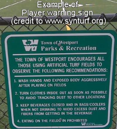 Image: Taken at a field near Saugatuck Elementary School, in March 2009.