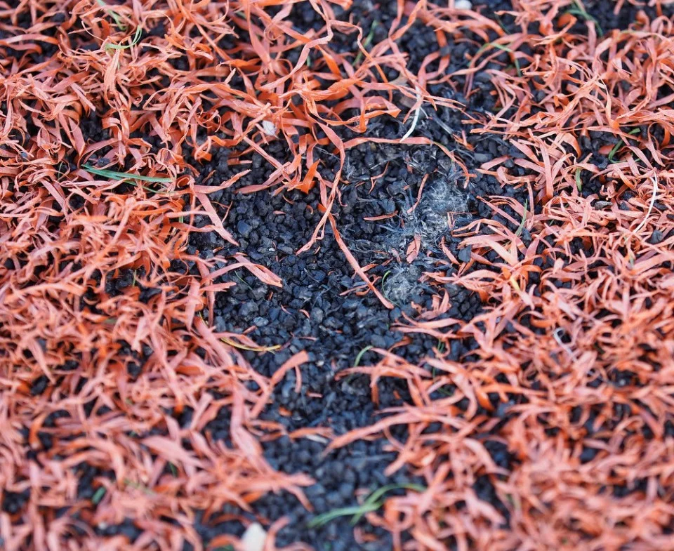 "IS THERE LEAD IN MONTGOMERY COUNTY'S ARTIFICIAL TURF FIELDS?"