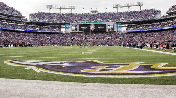04_StadiumGrass_news.jpg